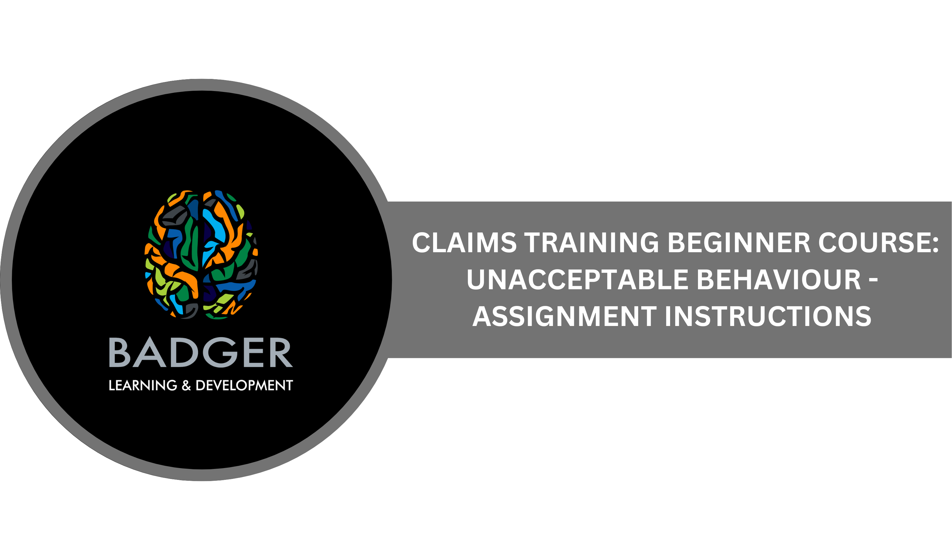 CLAIMS TRAINING BEGINNER COURSE:  UNACCEPTABLE BEHAVIOUR - ASSIGNMENT INSTRUCTIONS