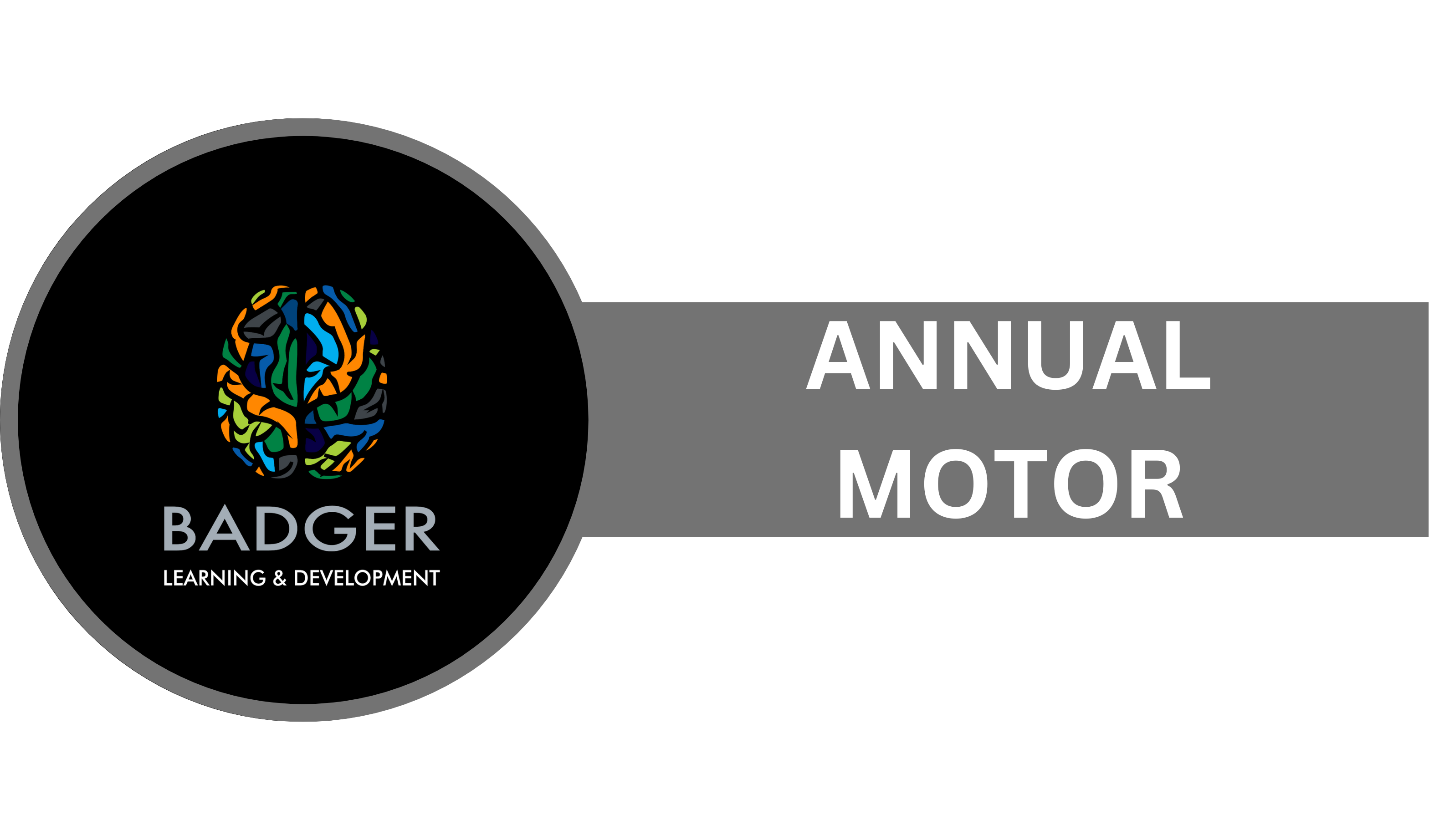 ANNUAL MOTOR