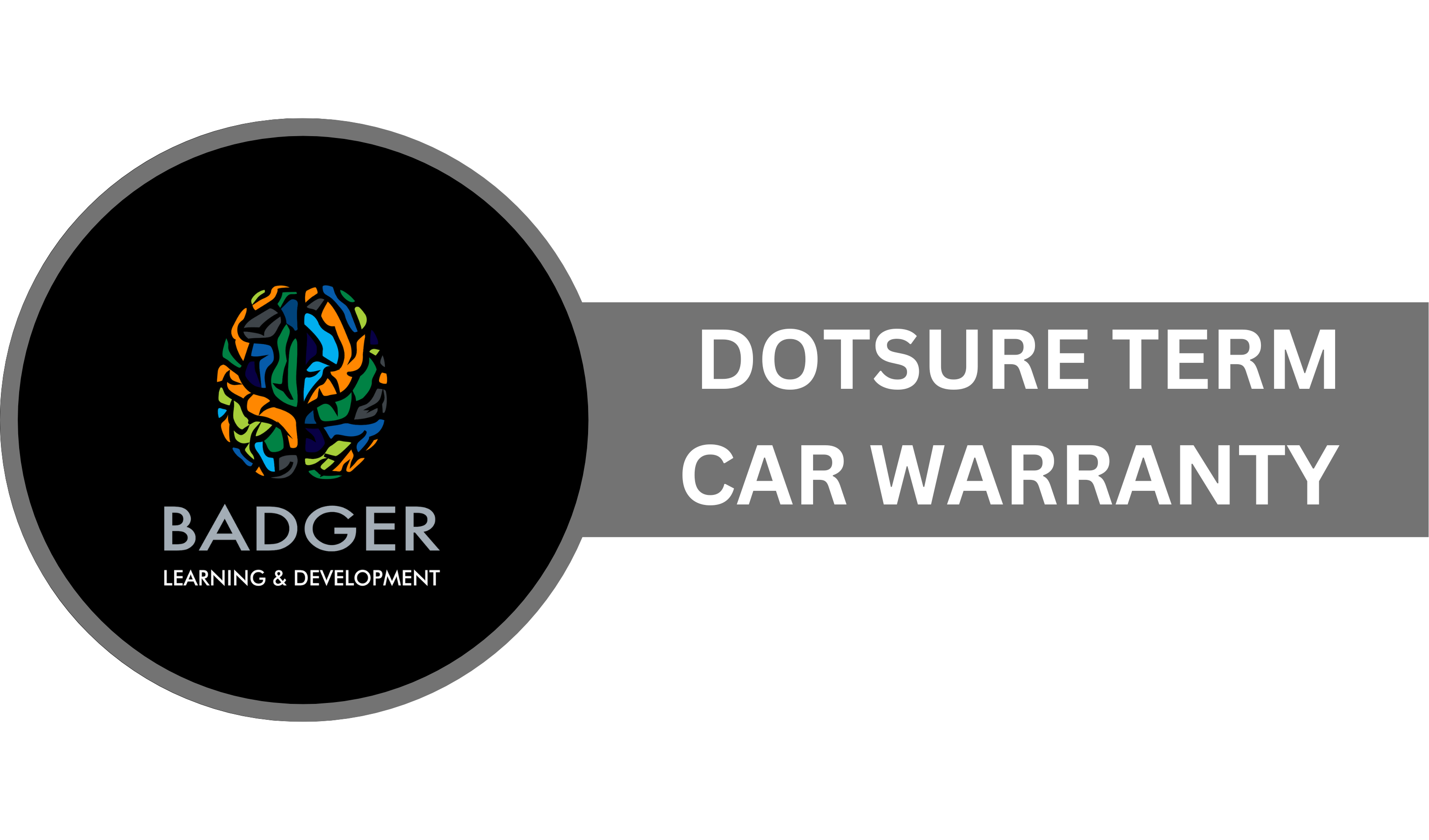 DOTSURE TERM CAR WARRANTY