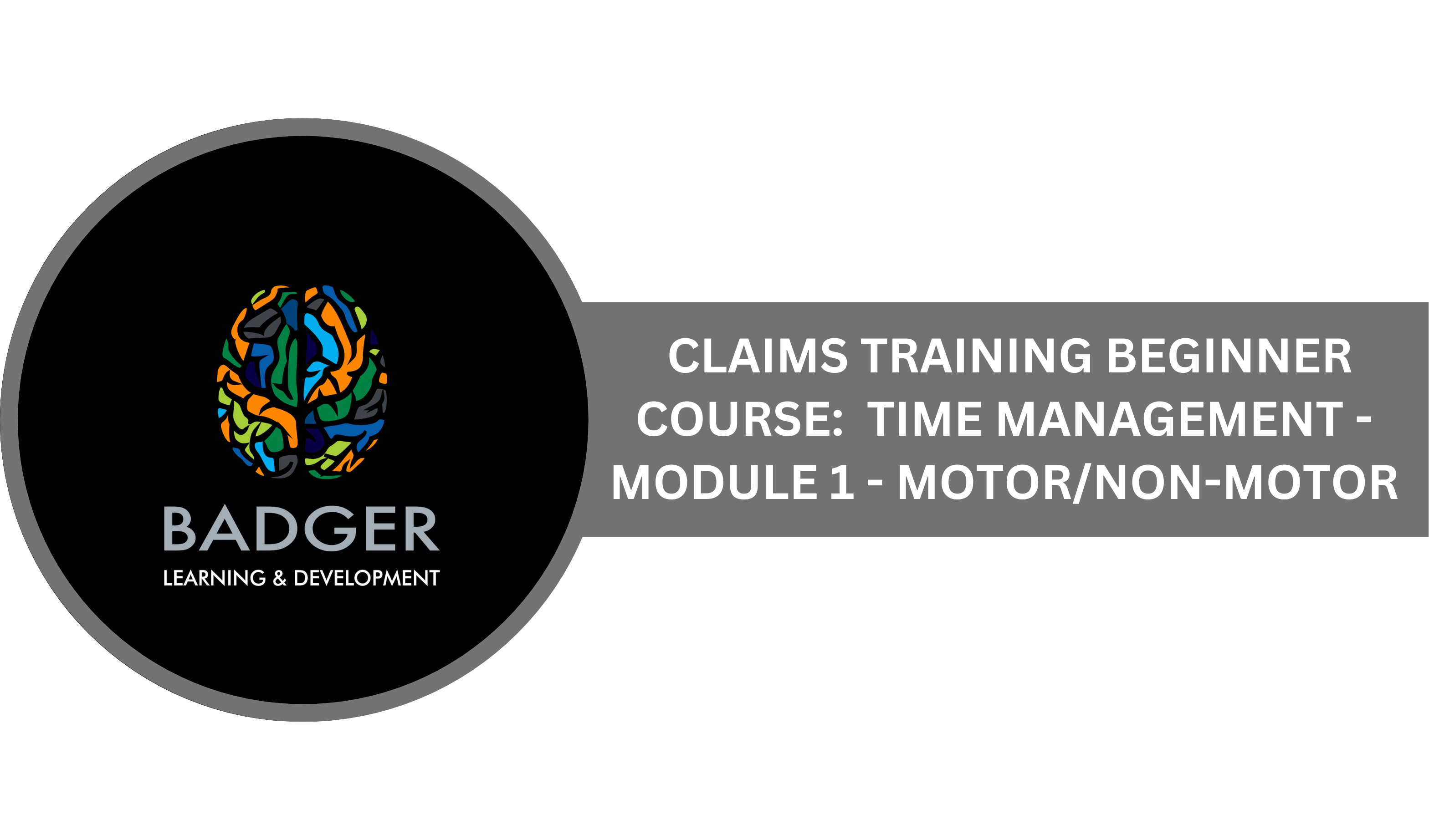 CLAIMS TRAINING BEGINNING COURSE - TIME MANAGEMENT - MODULE 1 - MOTOR/NON-MOTOR