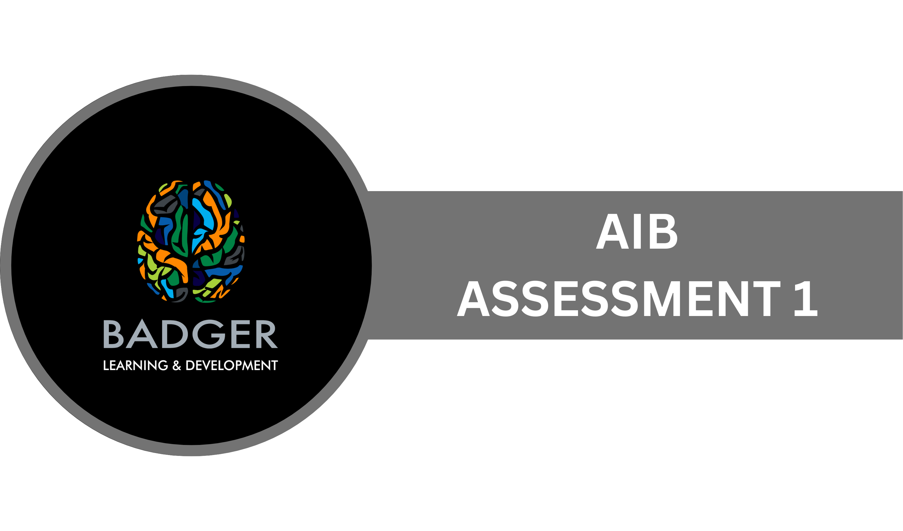 AIB Assessment 1