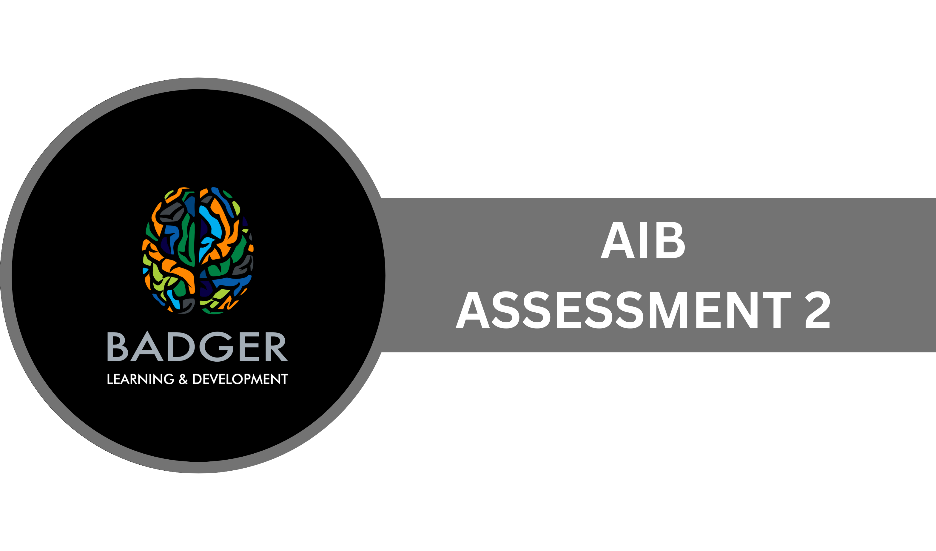 AIB Assessment 2
