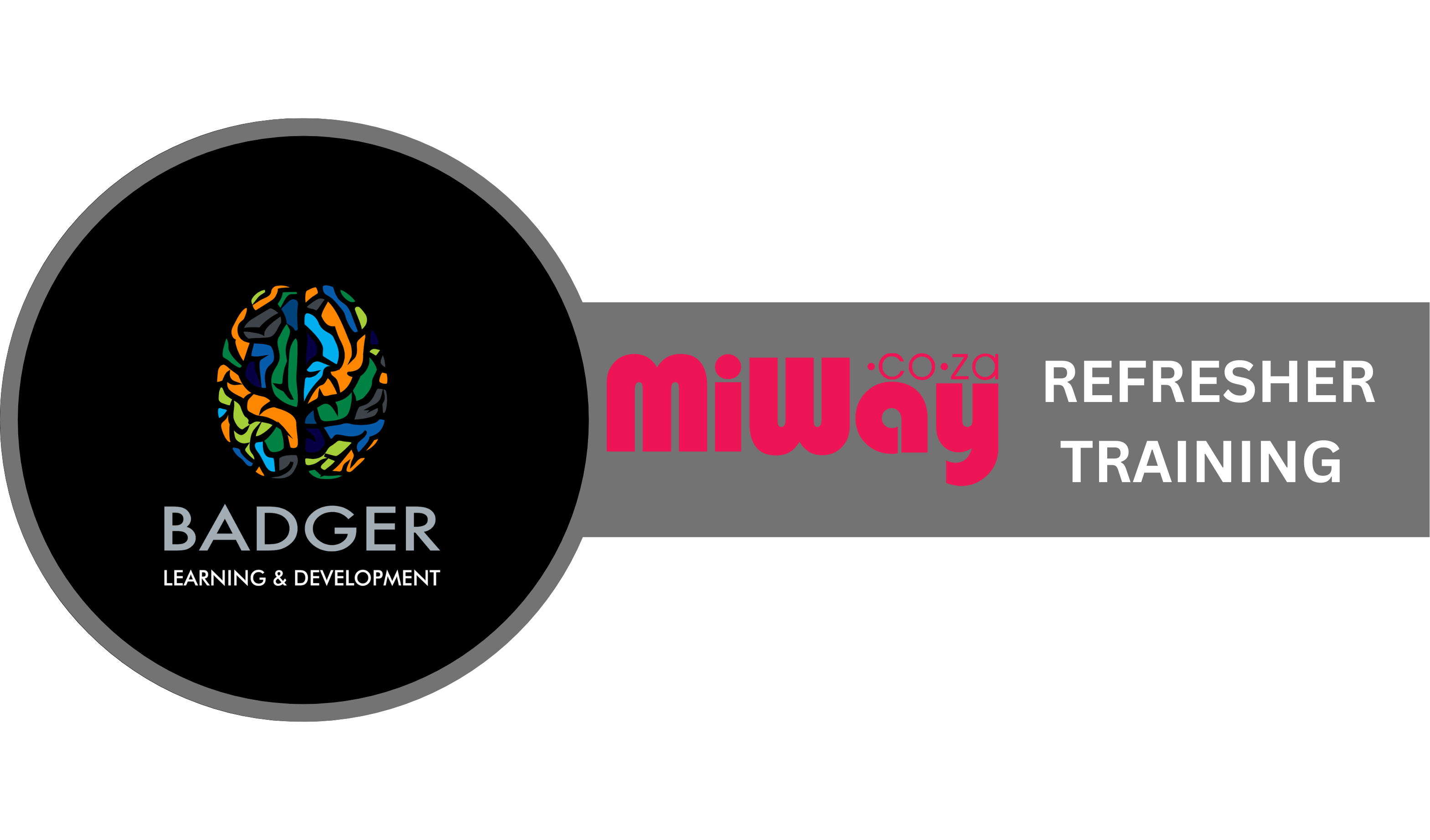SPRINGS - MIWAY REFRESHER TRAINING - February 2025