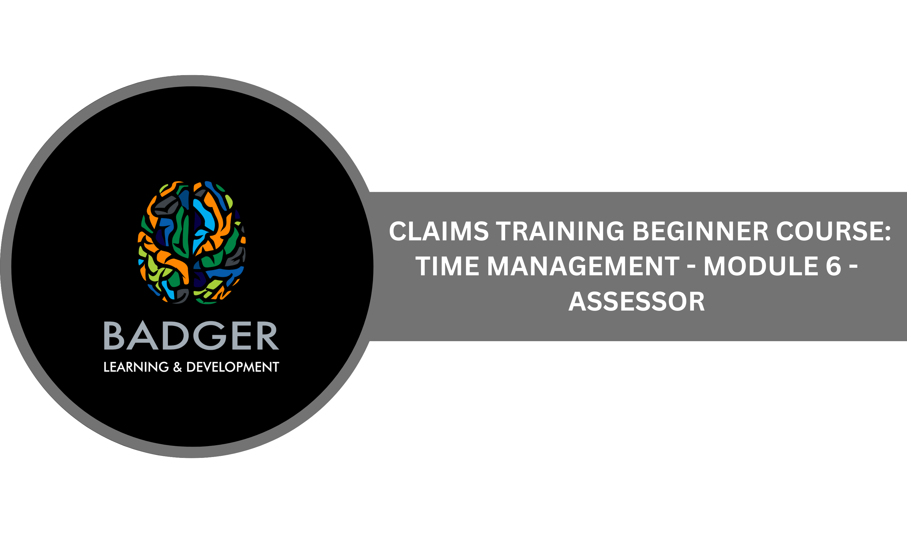 CLAIMS TRAINING BEGINNING COURSE - TIME MANAGEMENT - MODULE 6 - ASSESSOR