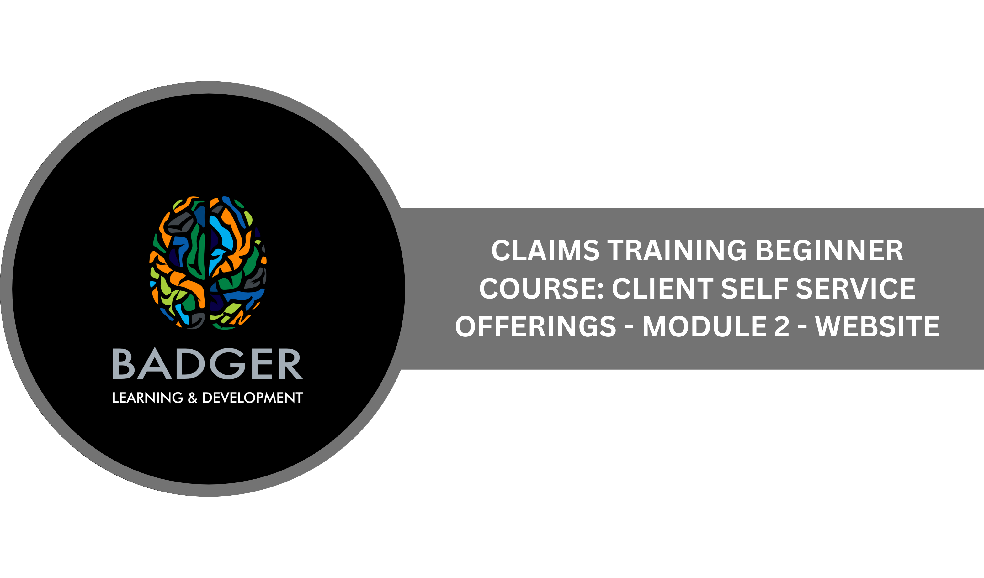 CLAIMS TRAINING BEGINNING COURSE - CLIENT SELF SERVICE OFFERINGS - MODULE 2 - WEBSITE