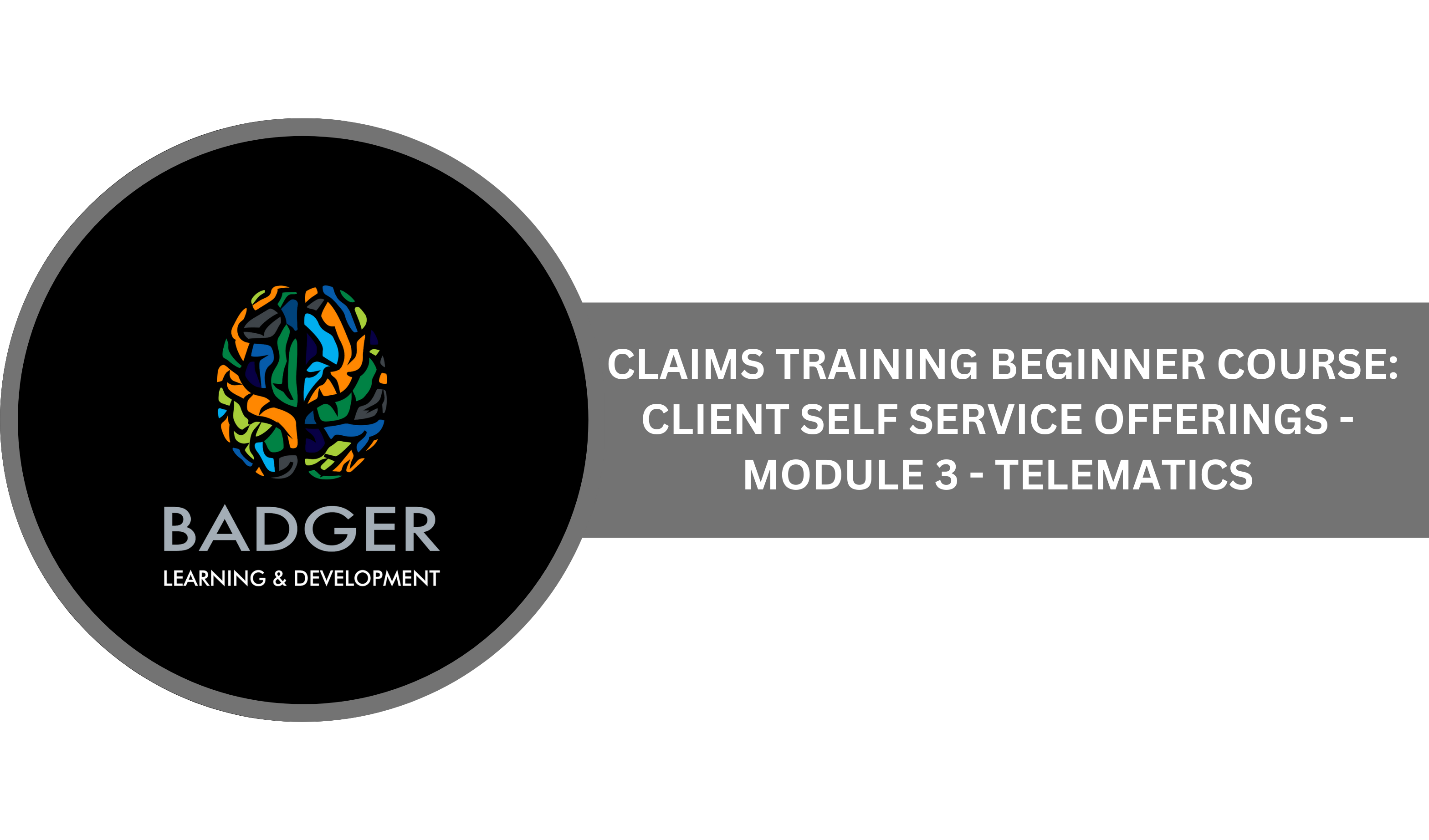 CLAIMS TRAINING BEGINNING COURSE - CLIENT SELF SERVICE OFFERINGS - MODULE 3 - TELEMATICS