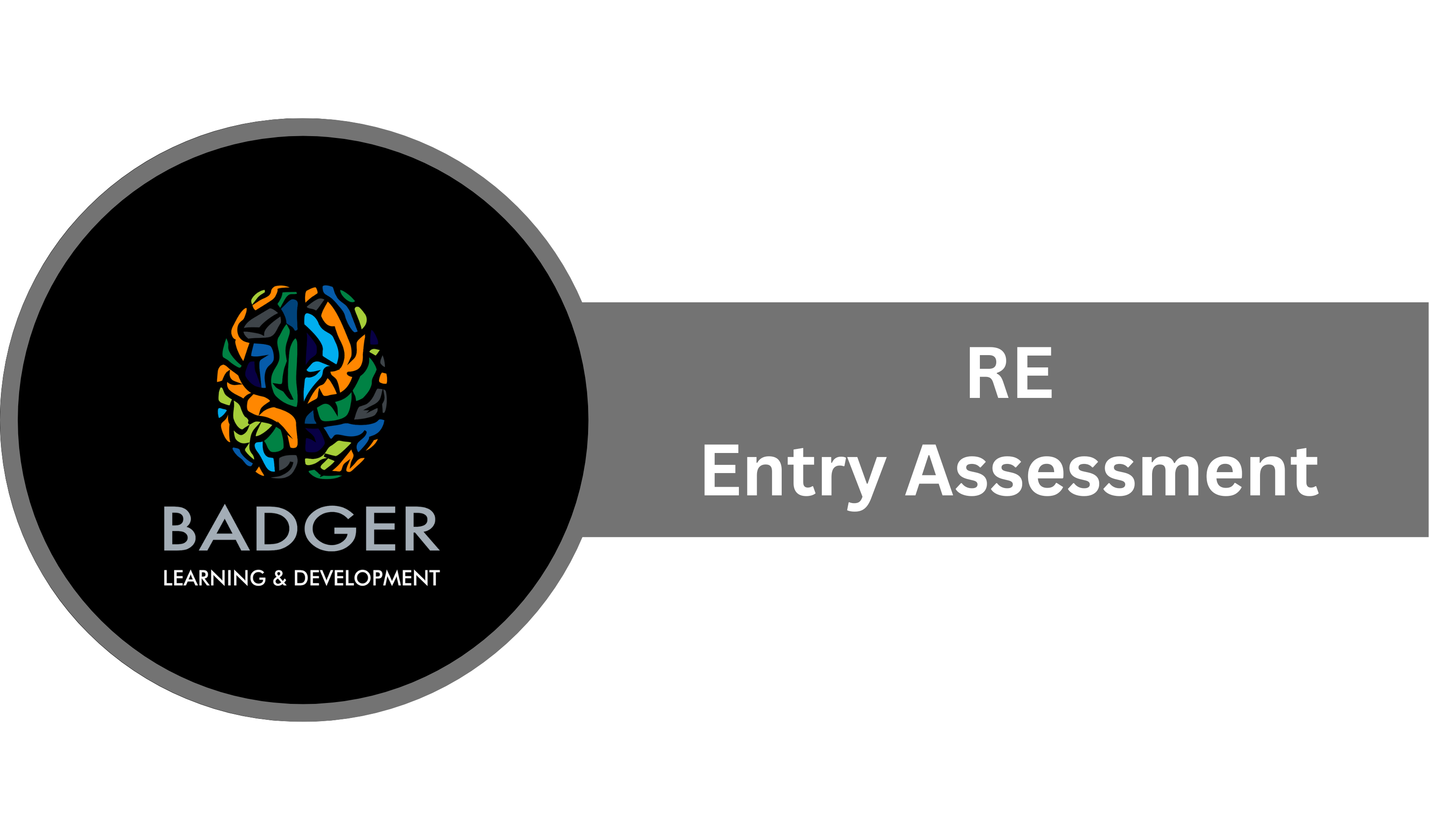 RE Entry Assessment
