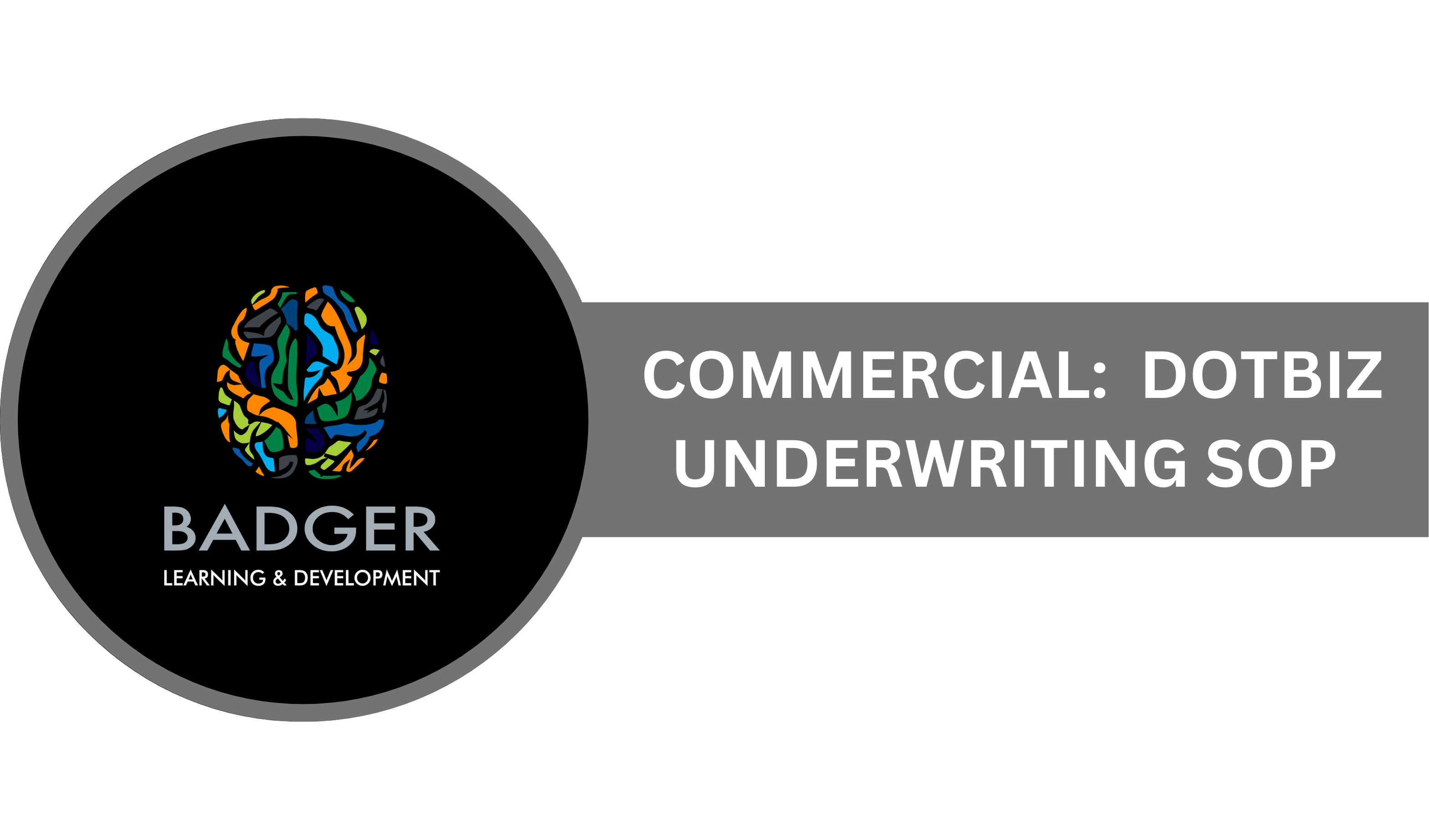DOTBIZ UNDERWRITING SOP
