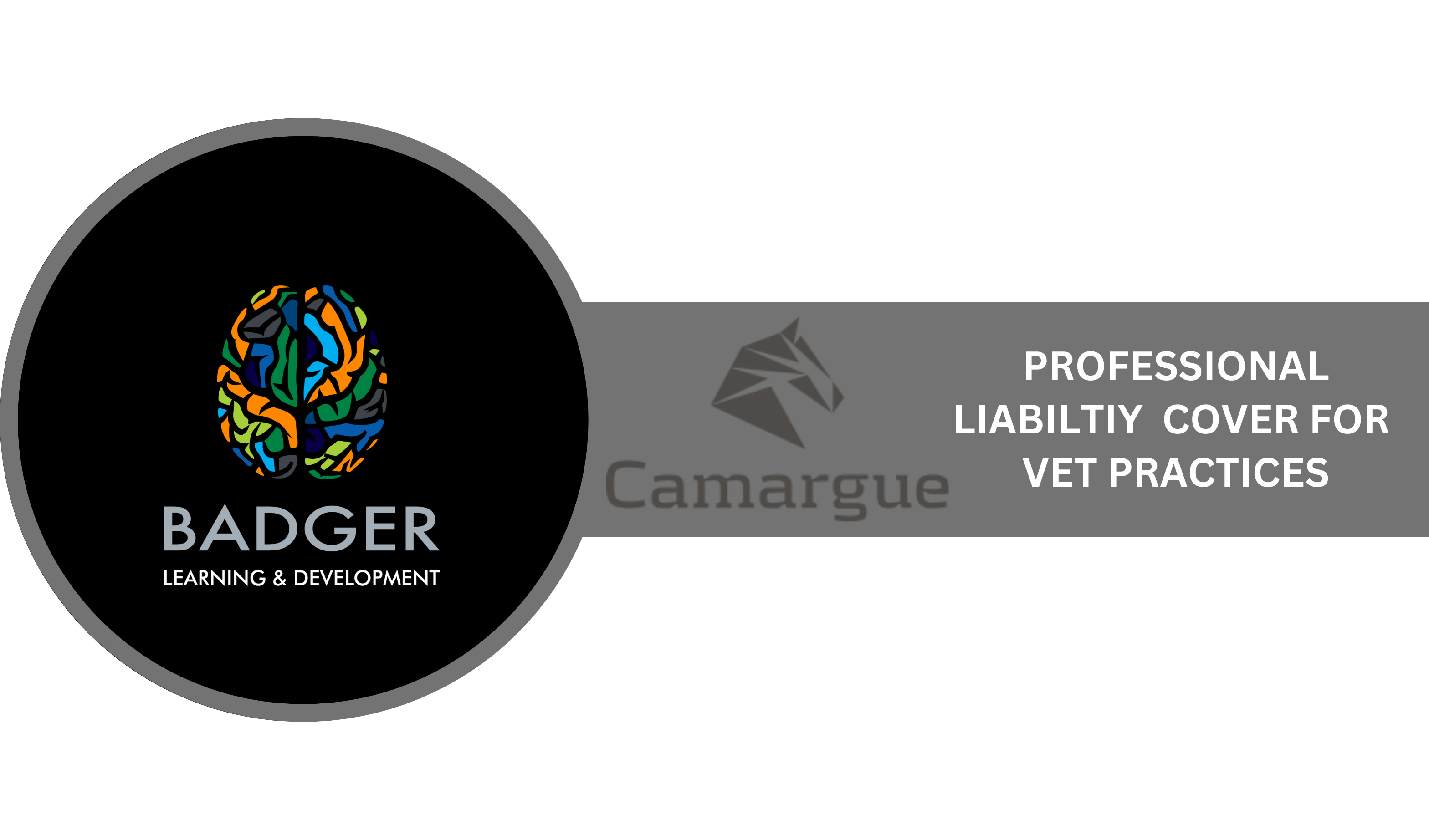 CAMARGUE PROFESSIONAL LIABILITY COVER FOR VET PRACTICES
