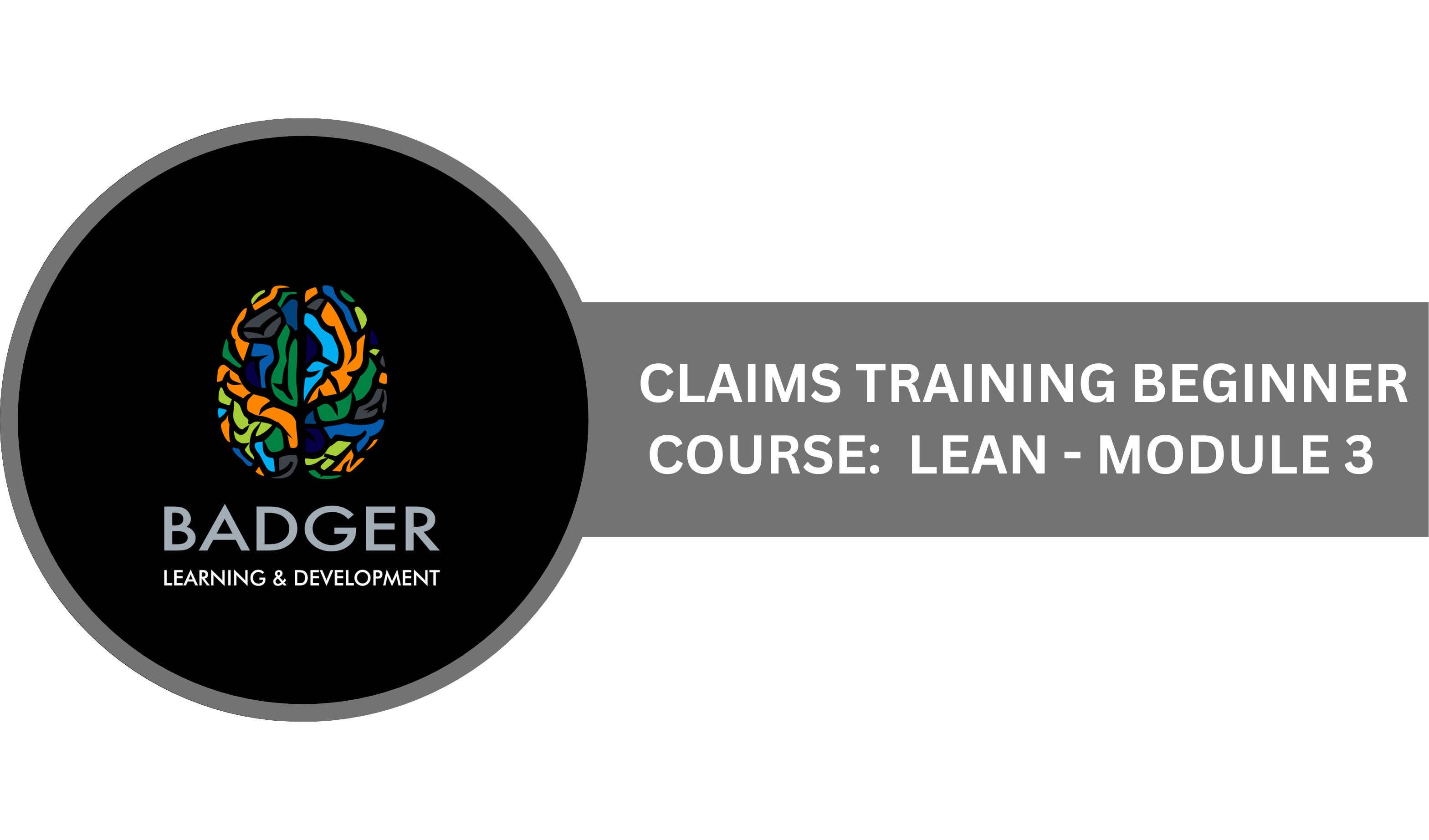CLAIMS TRAINING BEGINNING COURSE - LEAN - MODULE 3