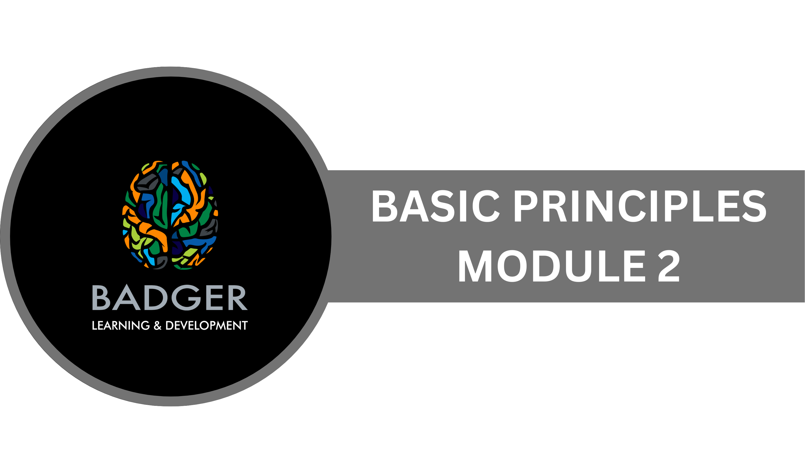 BASIC PRINCIPLES - MODULE 2 