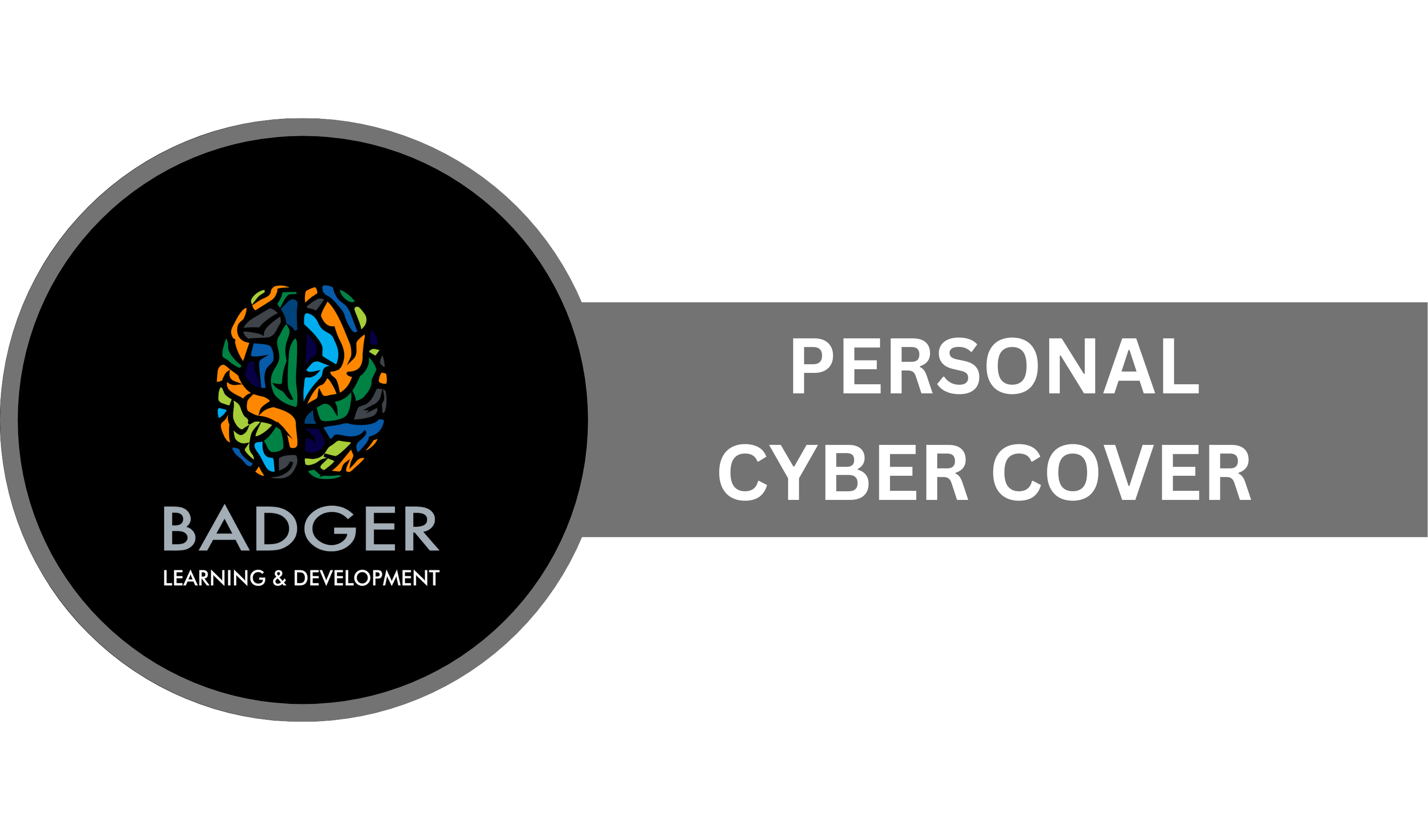 PERSONAL CYBER COVER