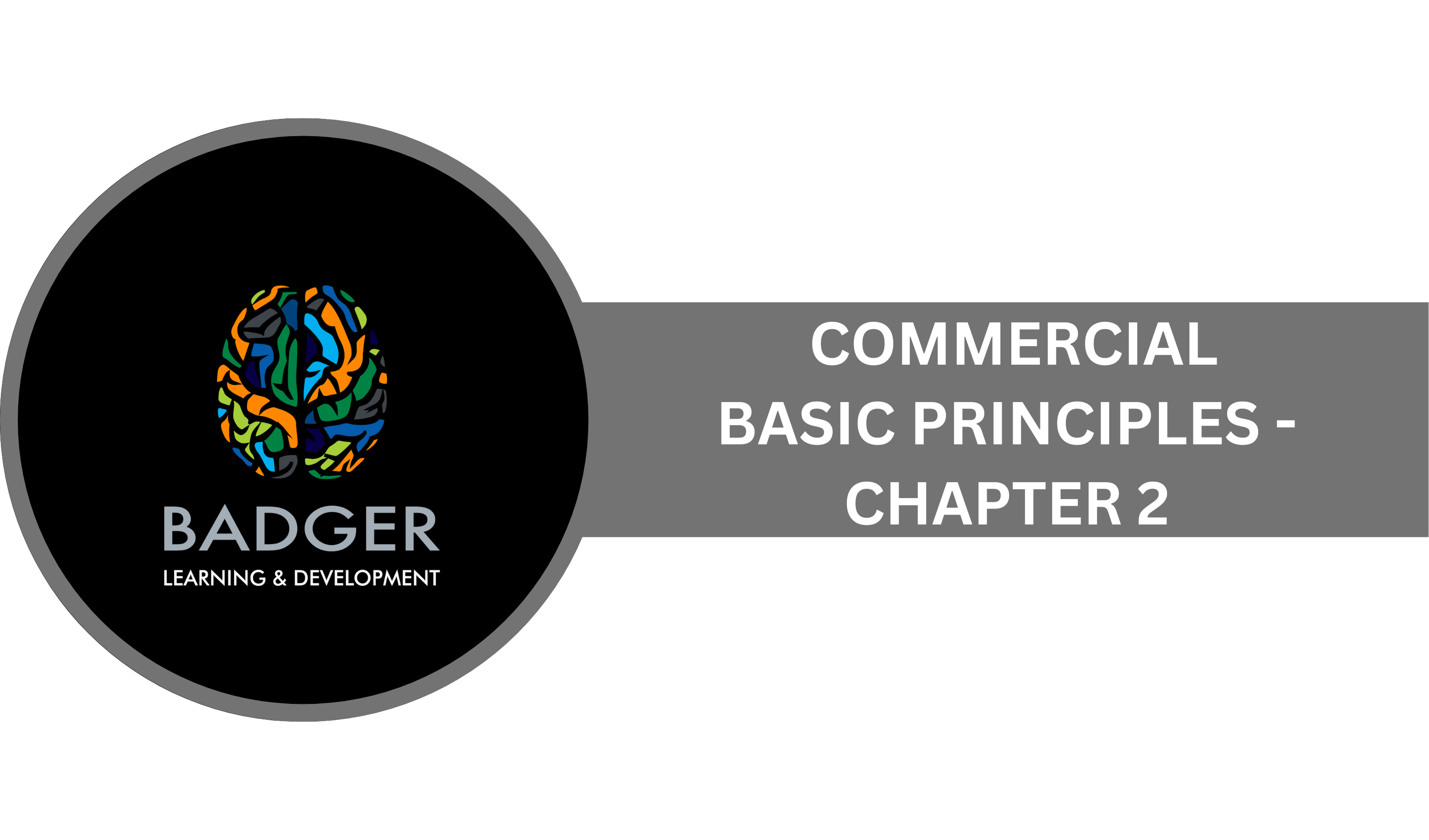 COMMERCIAL - BASIC PRINCIPLES - CHAPTER 2