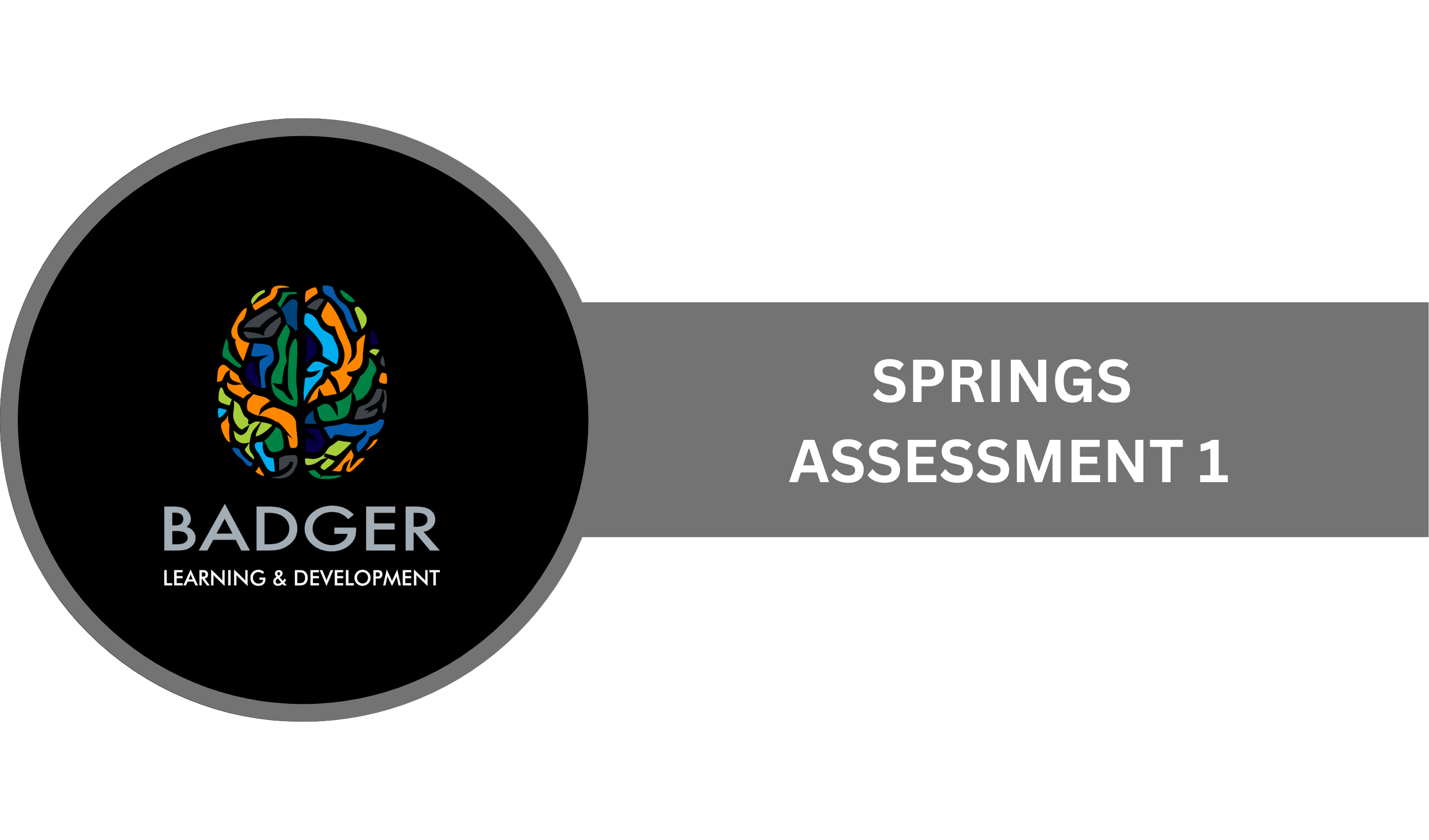 Springs: Assessment 1