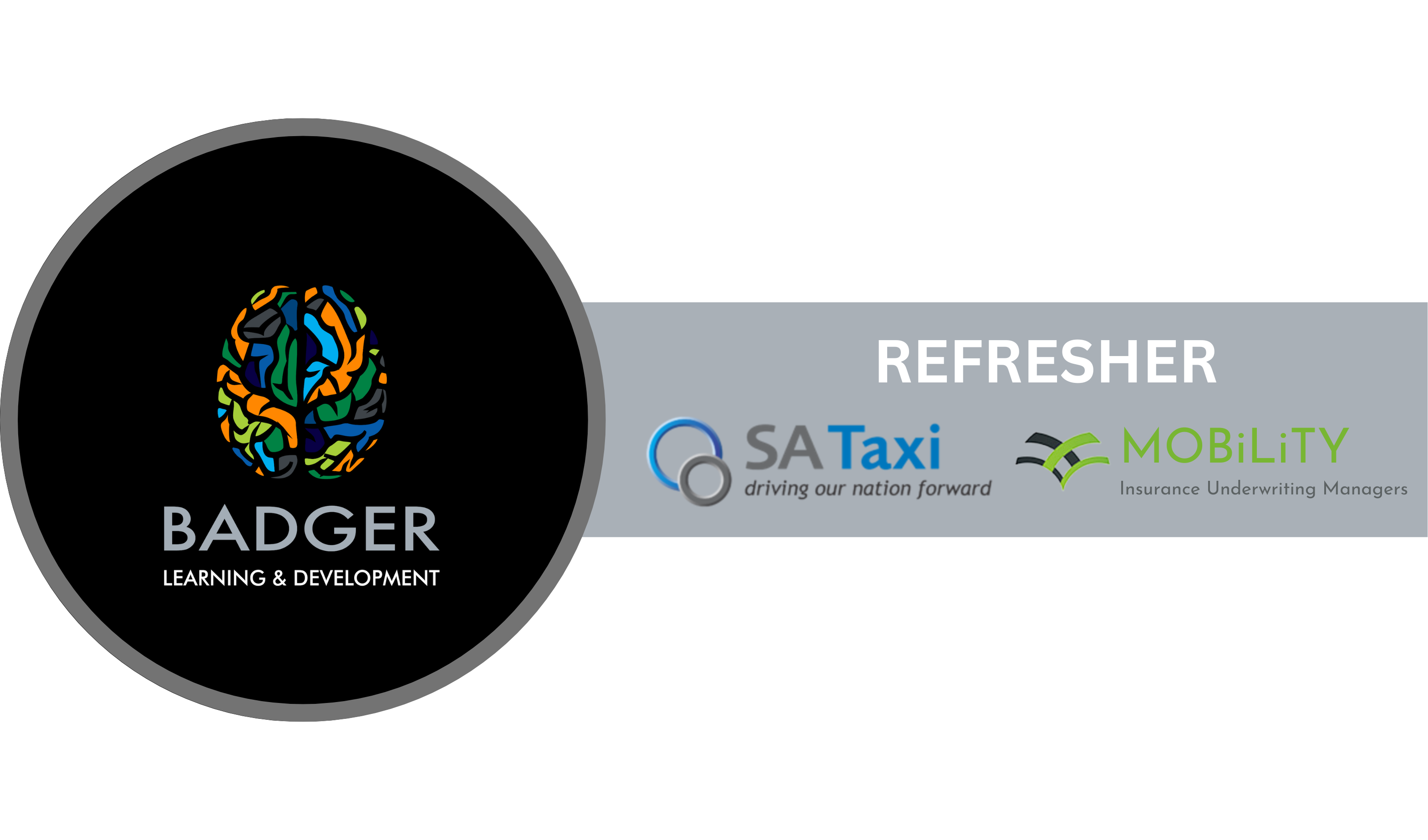 SPRINGS - REFRESHER - SA TAXI & MOBILITY - July 2025