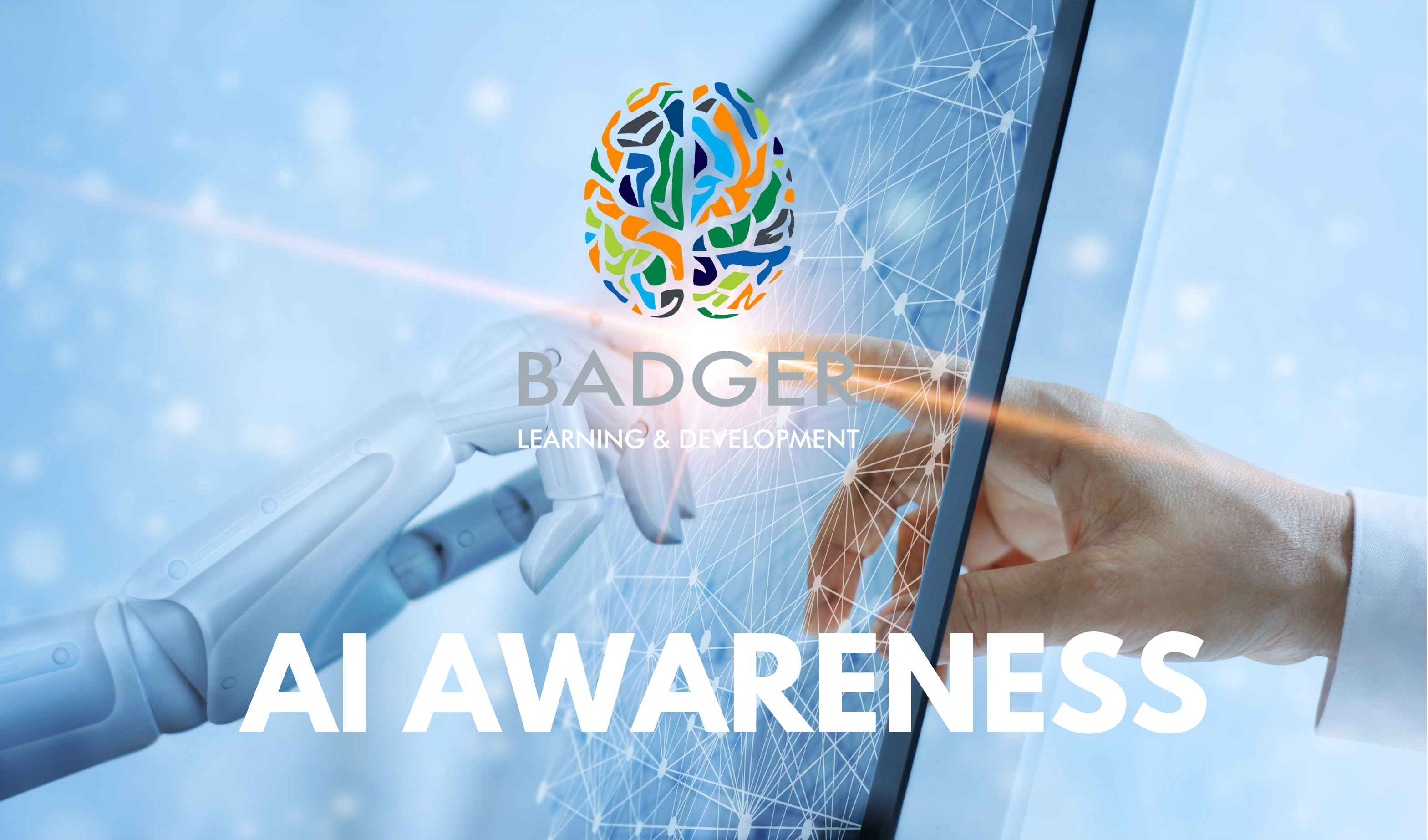 BADGER INDUCTION - AI AWARENESS