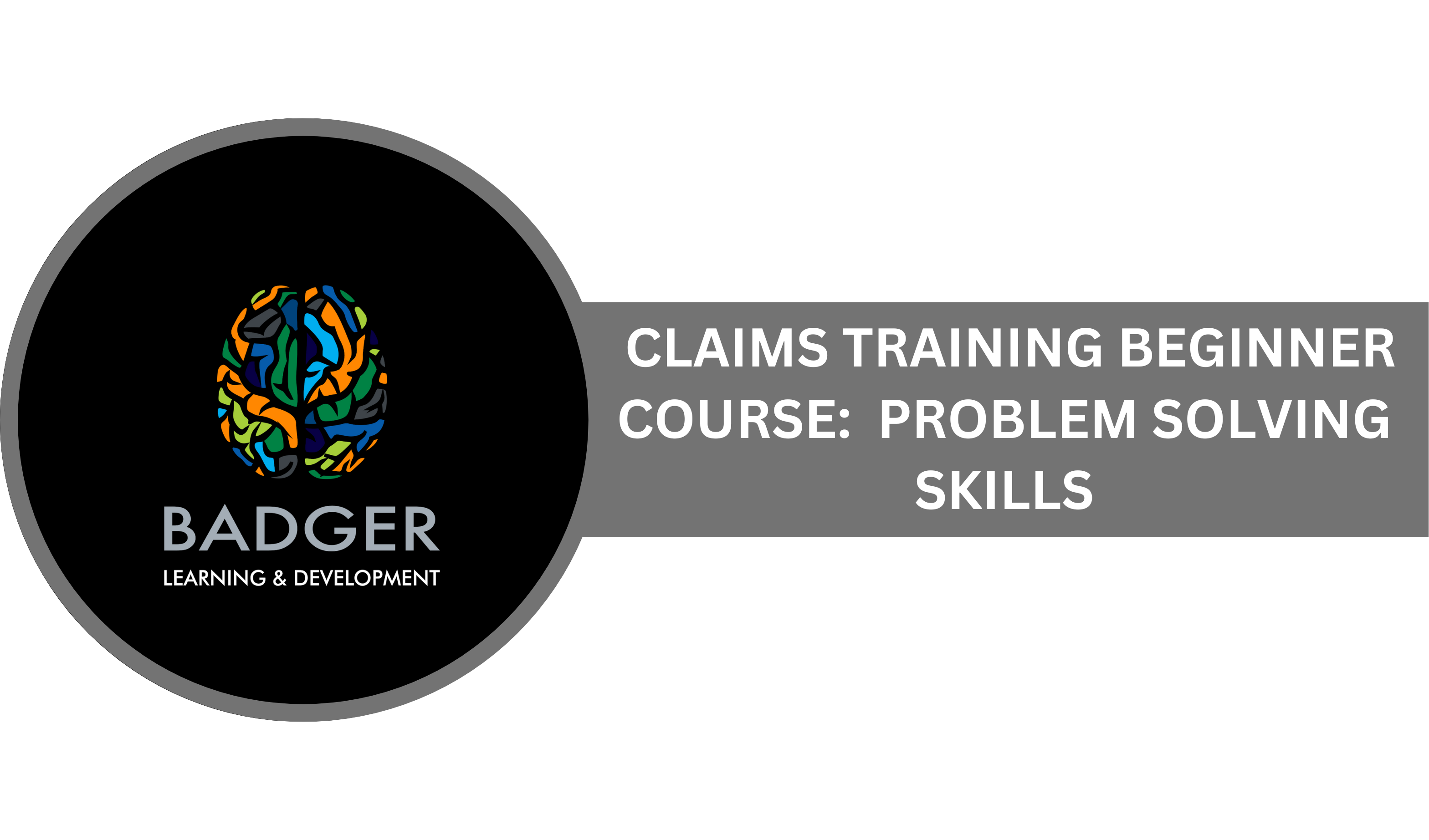 CLAIMS TRAINING BEGINNING COURSE - PROBLEM SOLVING