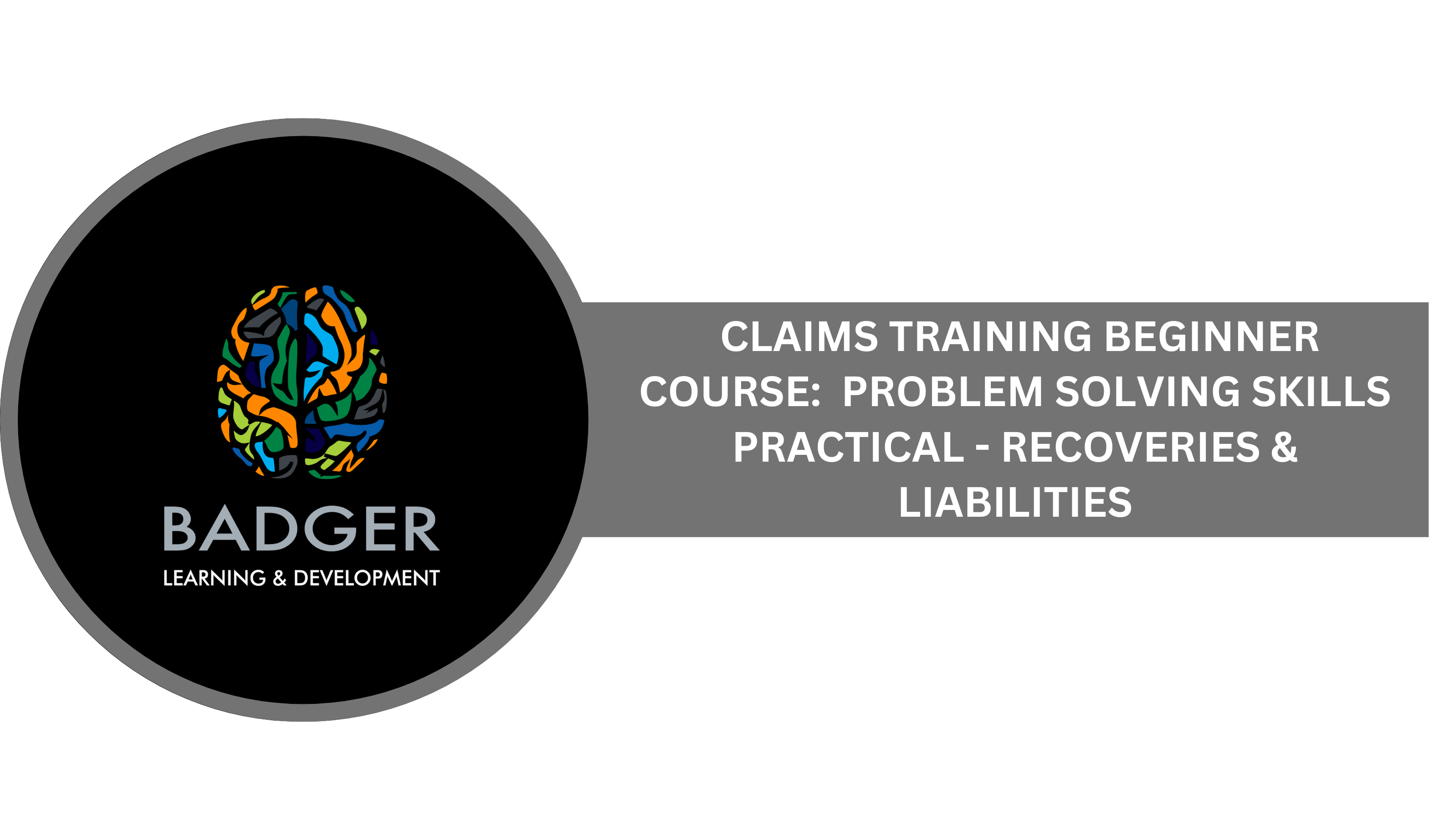 CLAIMS TRAINING BEGINNING COURSE - PROBLEM SOLVING SKILLS ASSIGNMENT - RECOVERIES & LIABILITIES