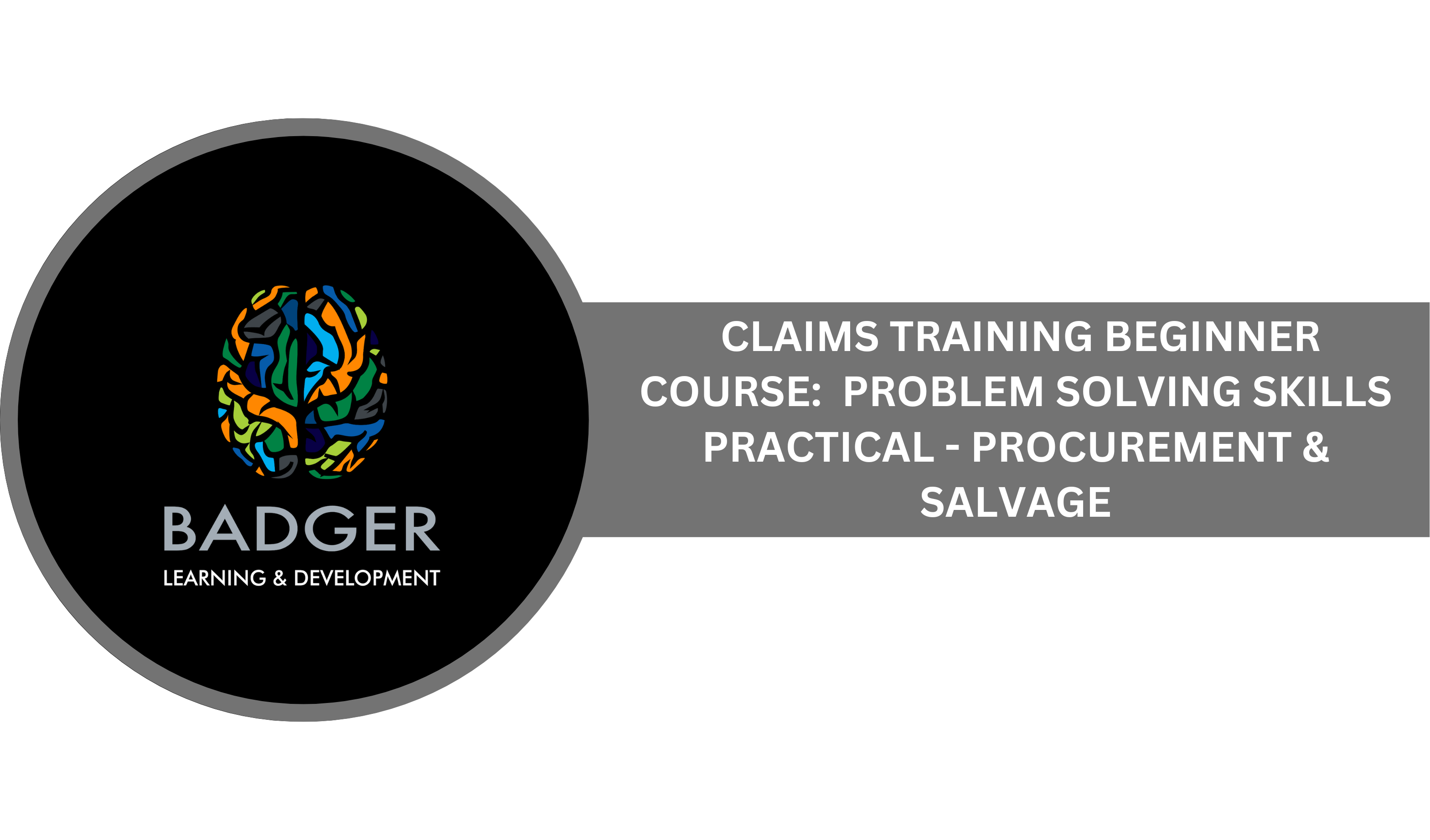 CLAIMS TRAINING BEGINNING COURSE - PROBLEM SOLVING SKILLS ASSIGNMENT - PROCUREMENT & SALVAGE