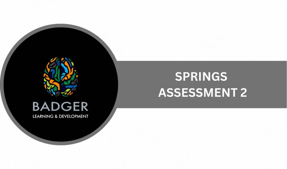 Springs RE Assessment 2