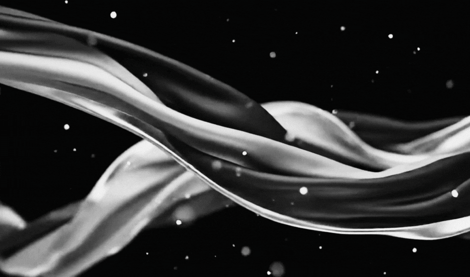 BADGER LEADERSHIP PRINICPLES