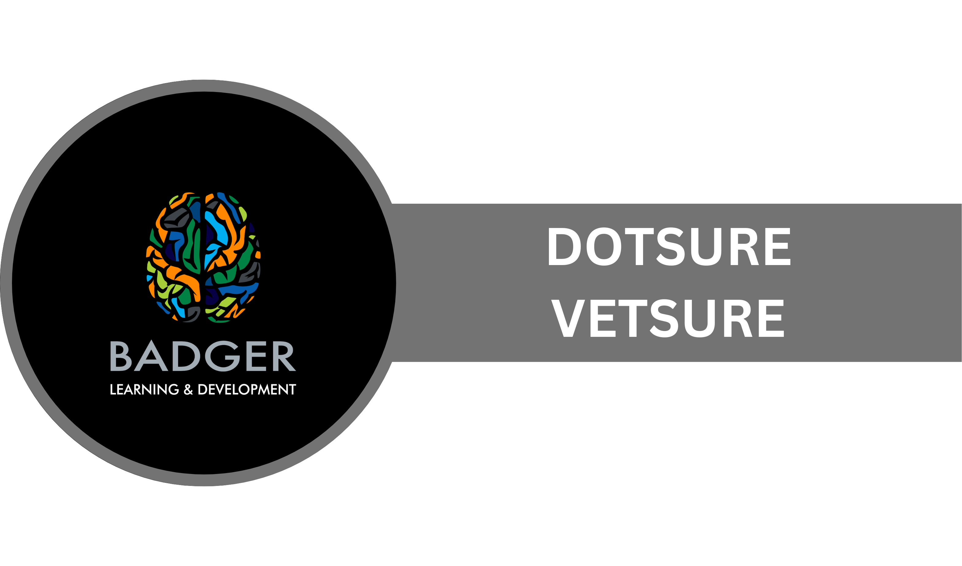 BROKERS - DOTSURE VETSURE