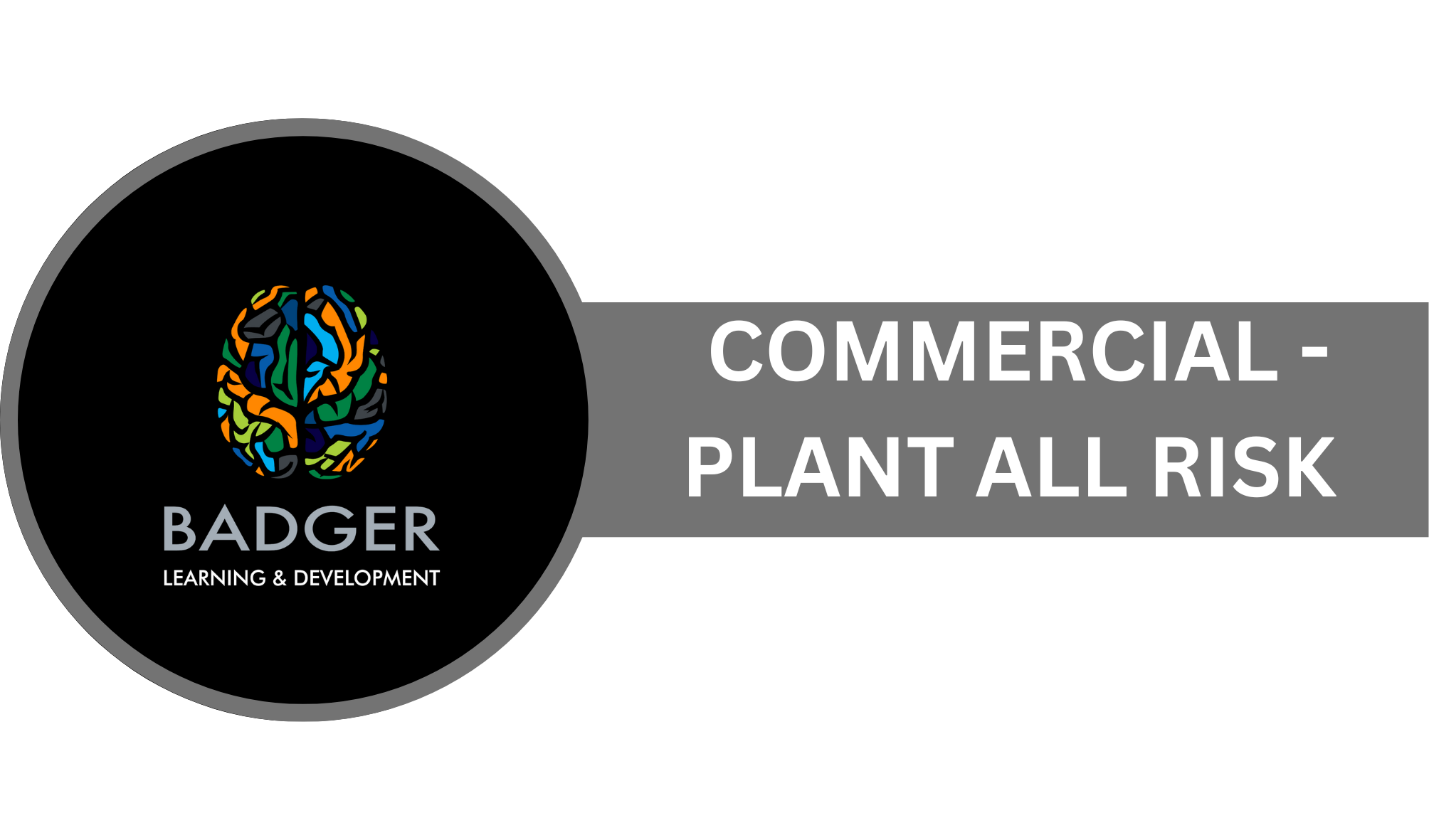 BROKERS - PLANT ALL RISK 