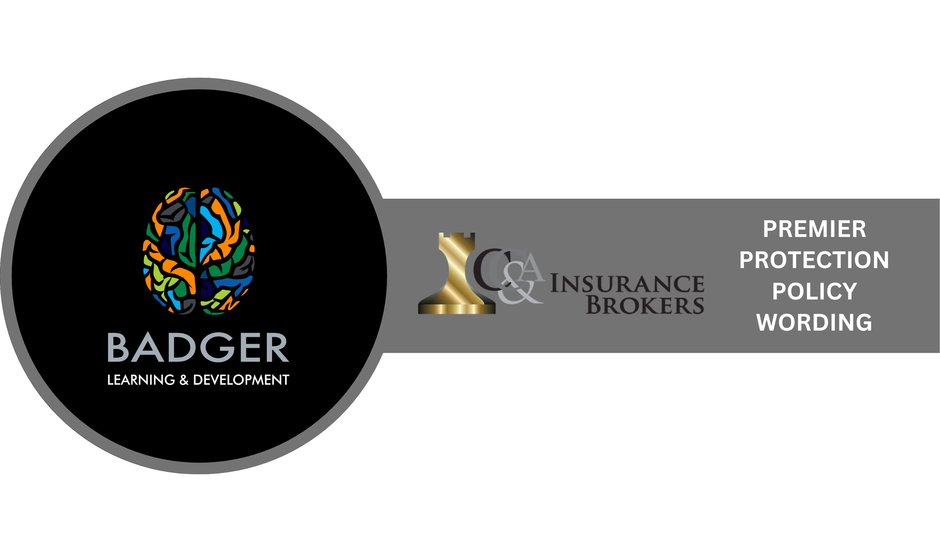 CC & A PREMIER PROTECTION 