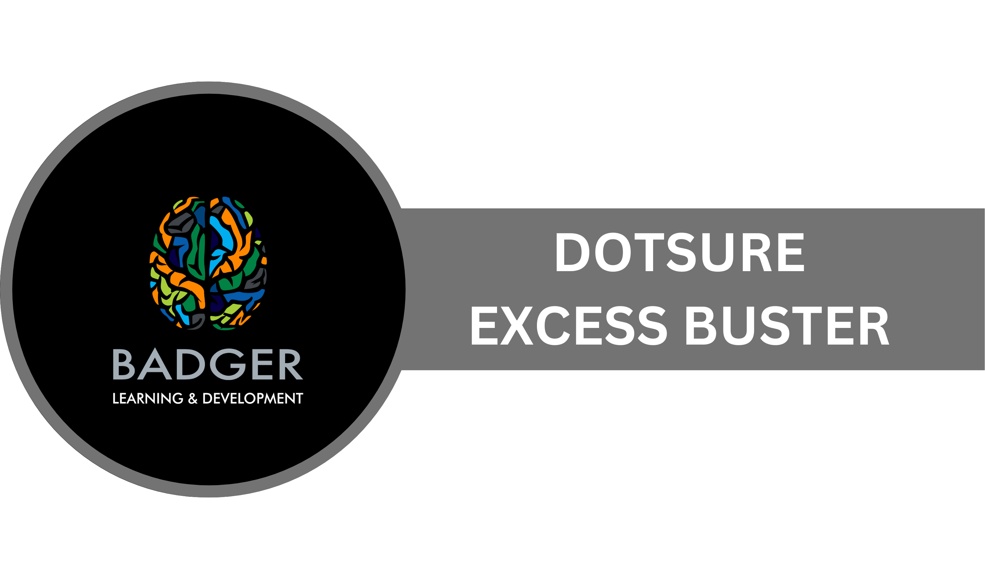 COMMRISK - DOTSURE EXCESS BUSTER 