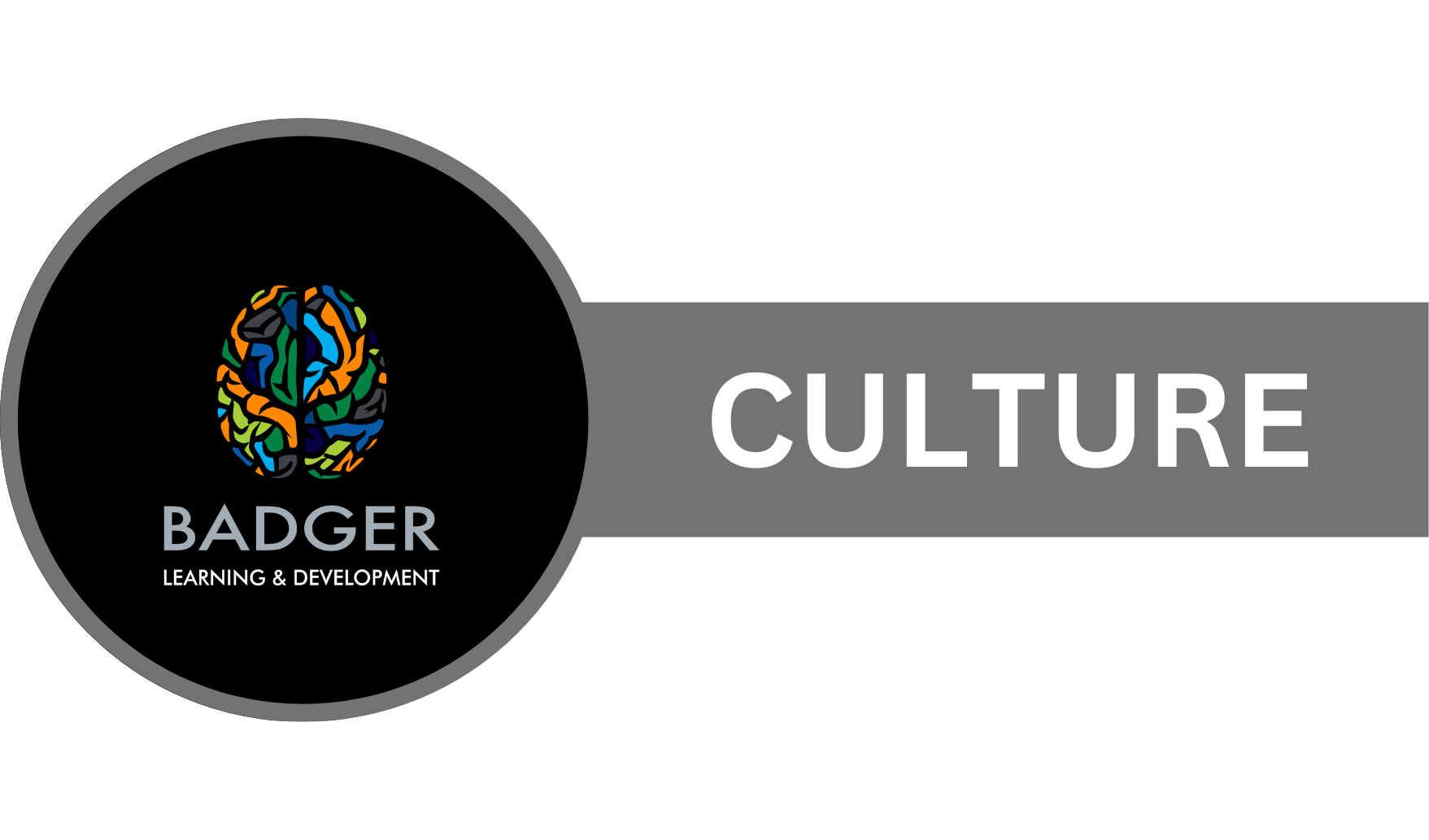 BADGER INDUCTION - CULTURE 