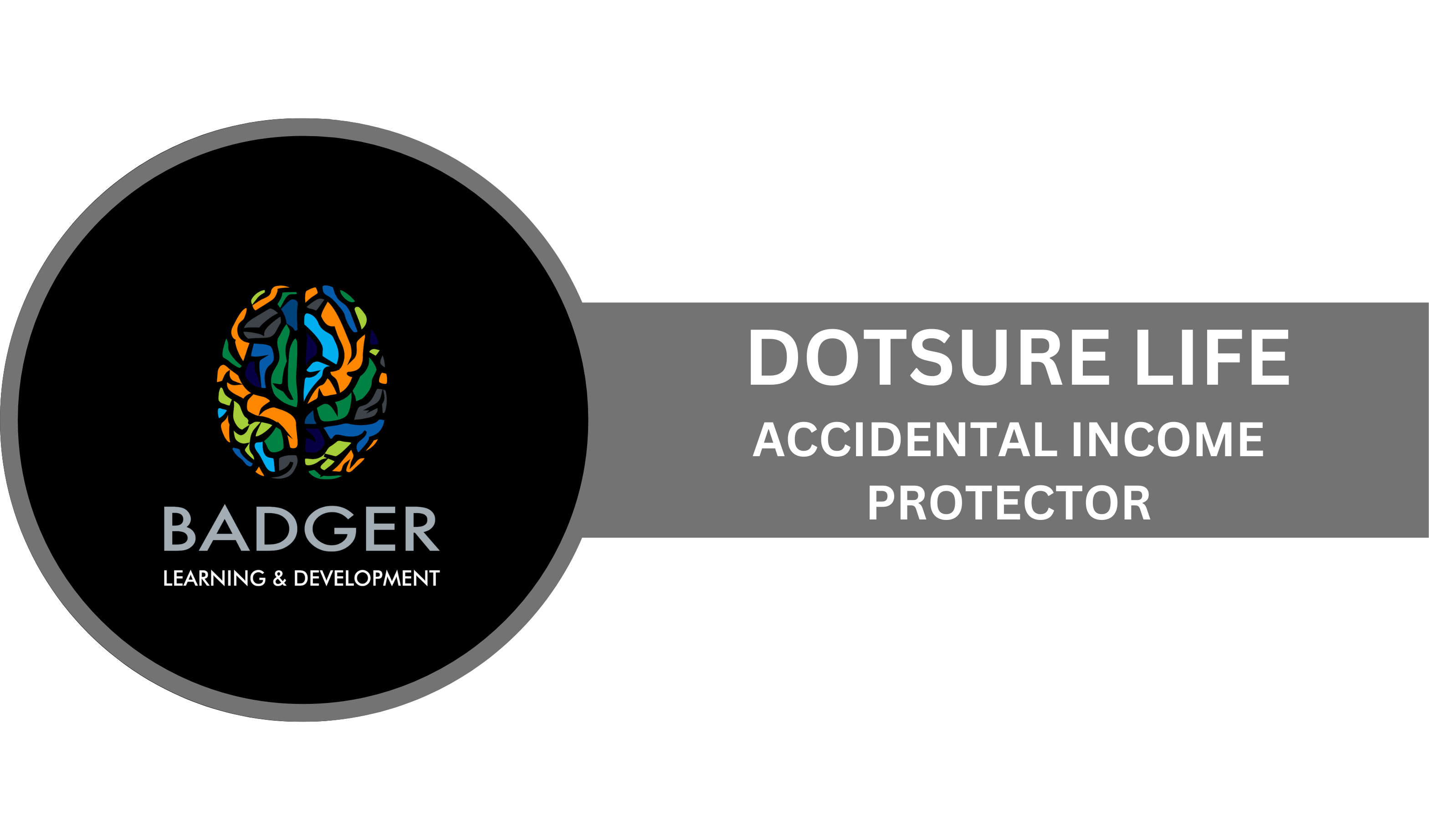 DOTSURE LIFE - ACCIDENTAL INCOME PROTECTOR