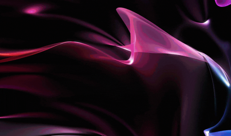 BADGER INDUCTION FEBRUARY 2026- FEEDBACK