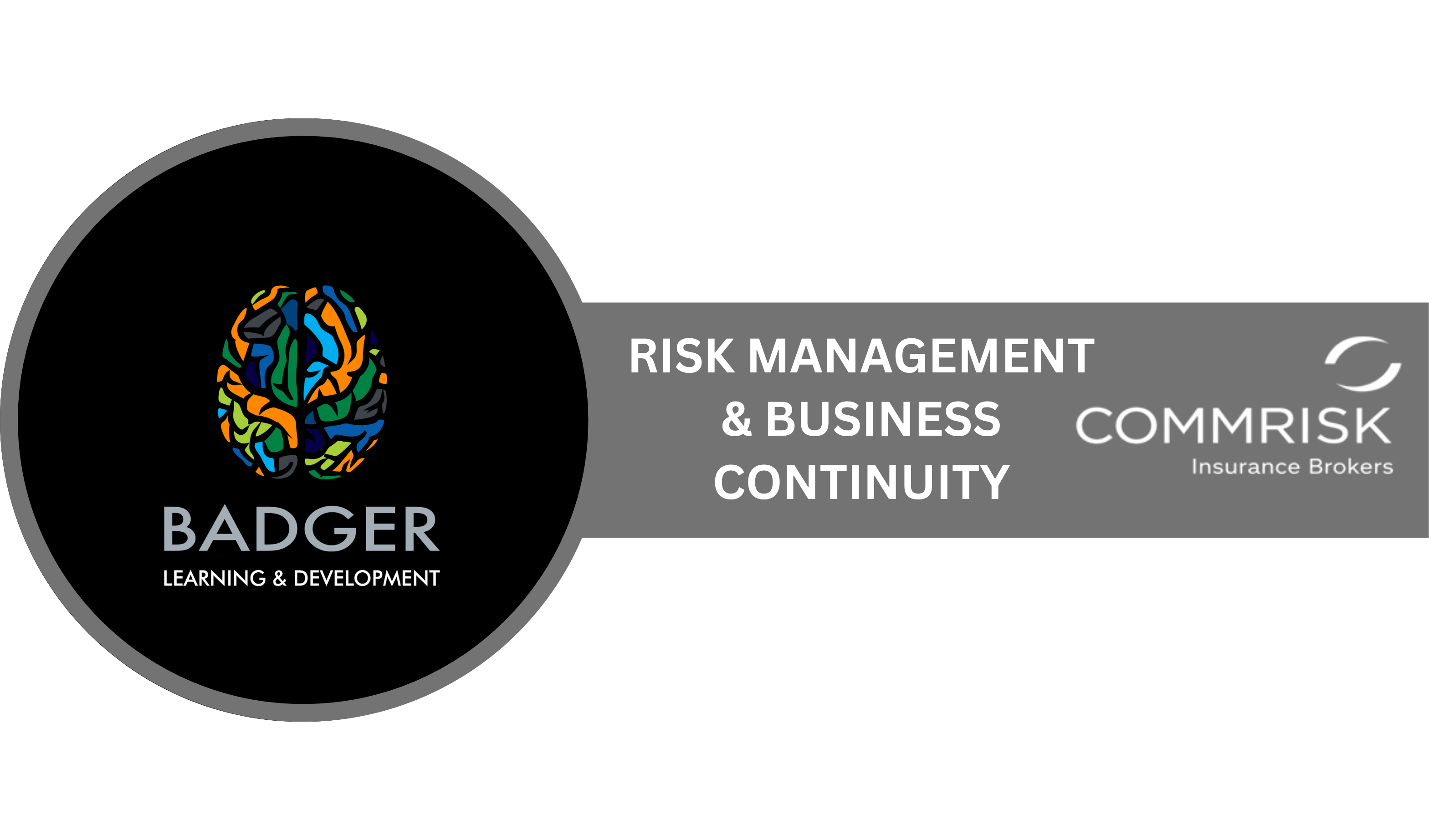 COMMRISK RISK MANAGEMENT & BUSINESS CONTINUITY 