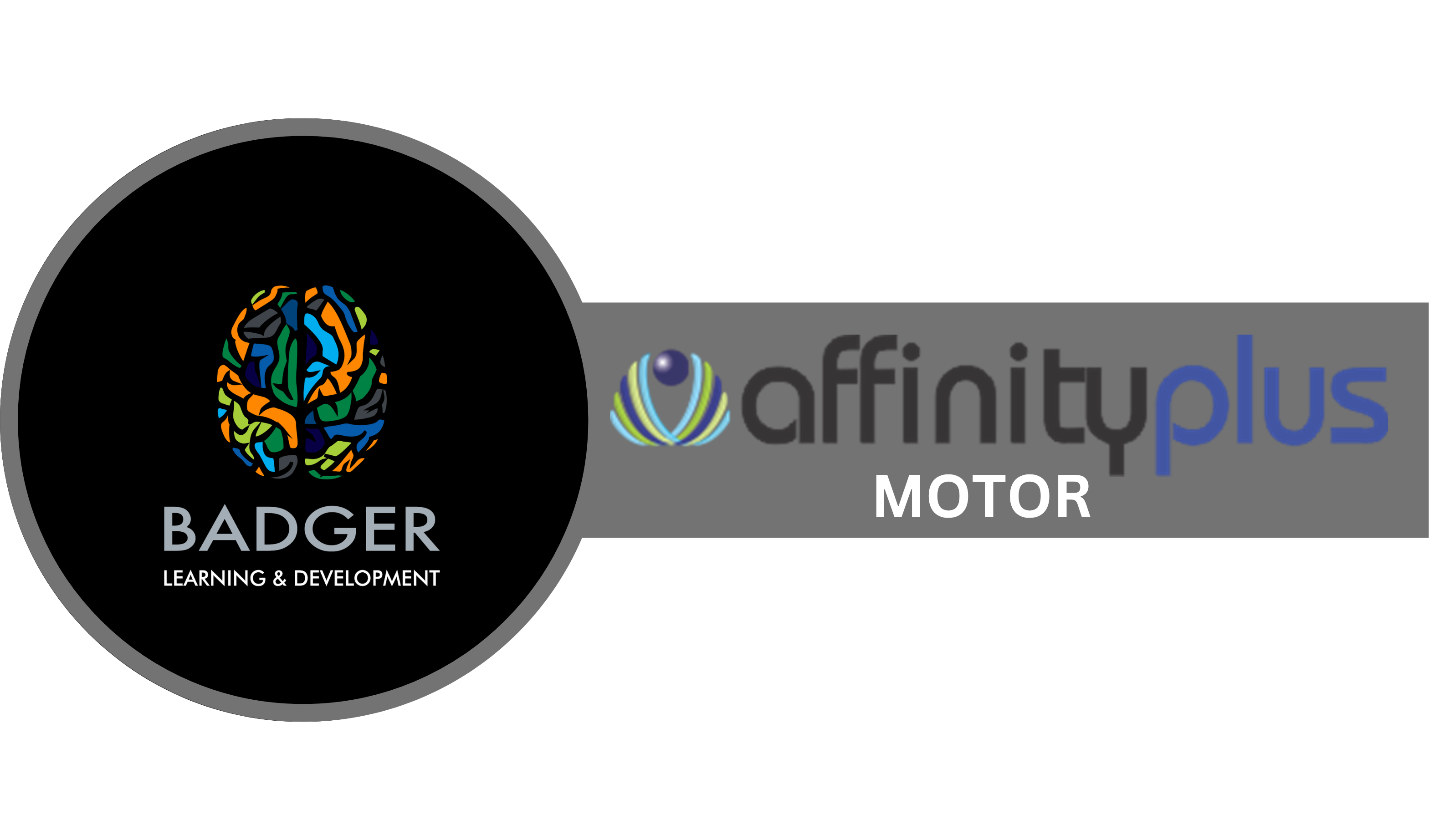 AFFINITY PLUS MOTOR 