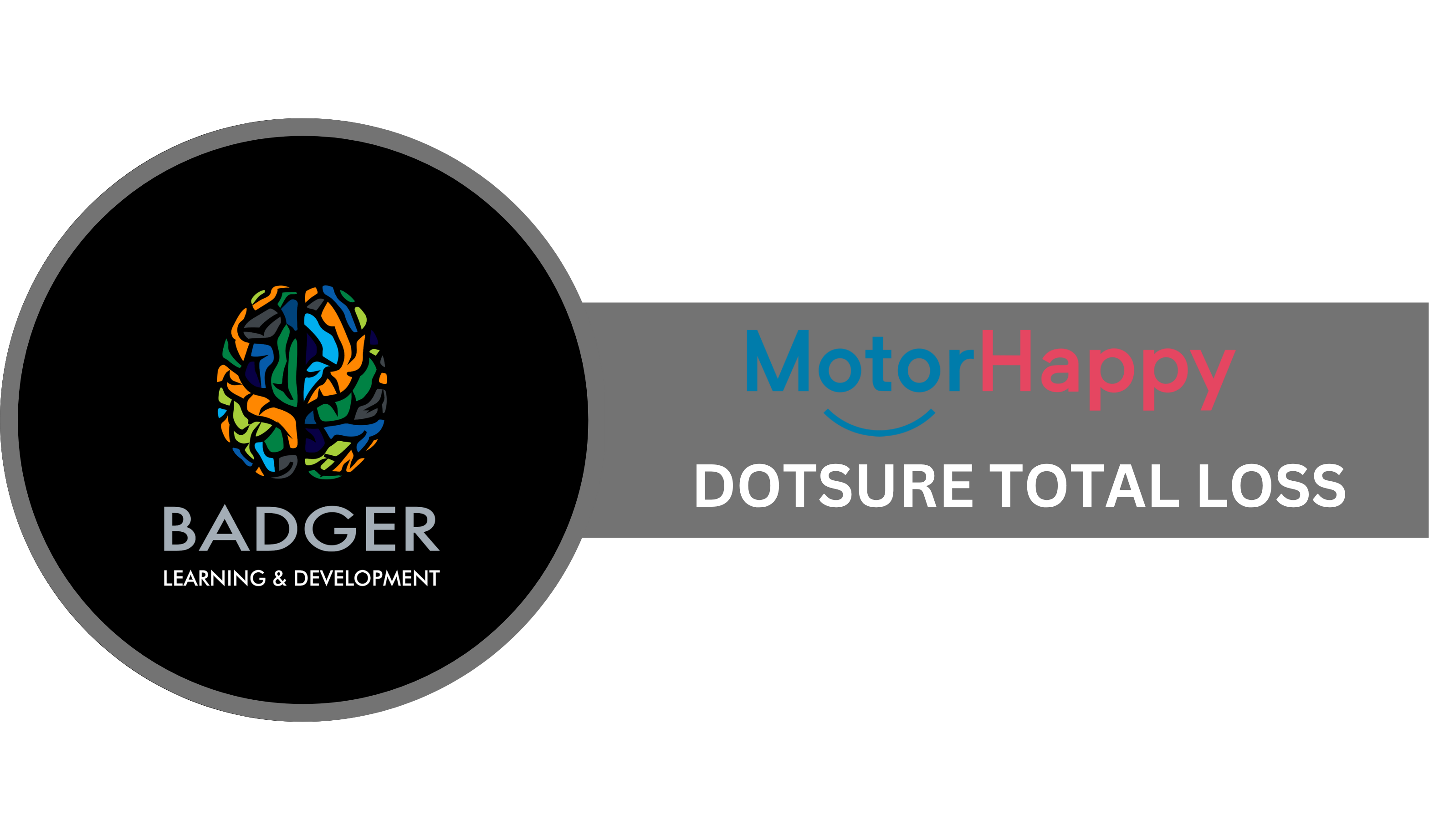 BROKERS - MOTOR HAPPY - DOTSURE TOTAL LOSS