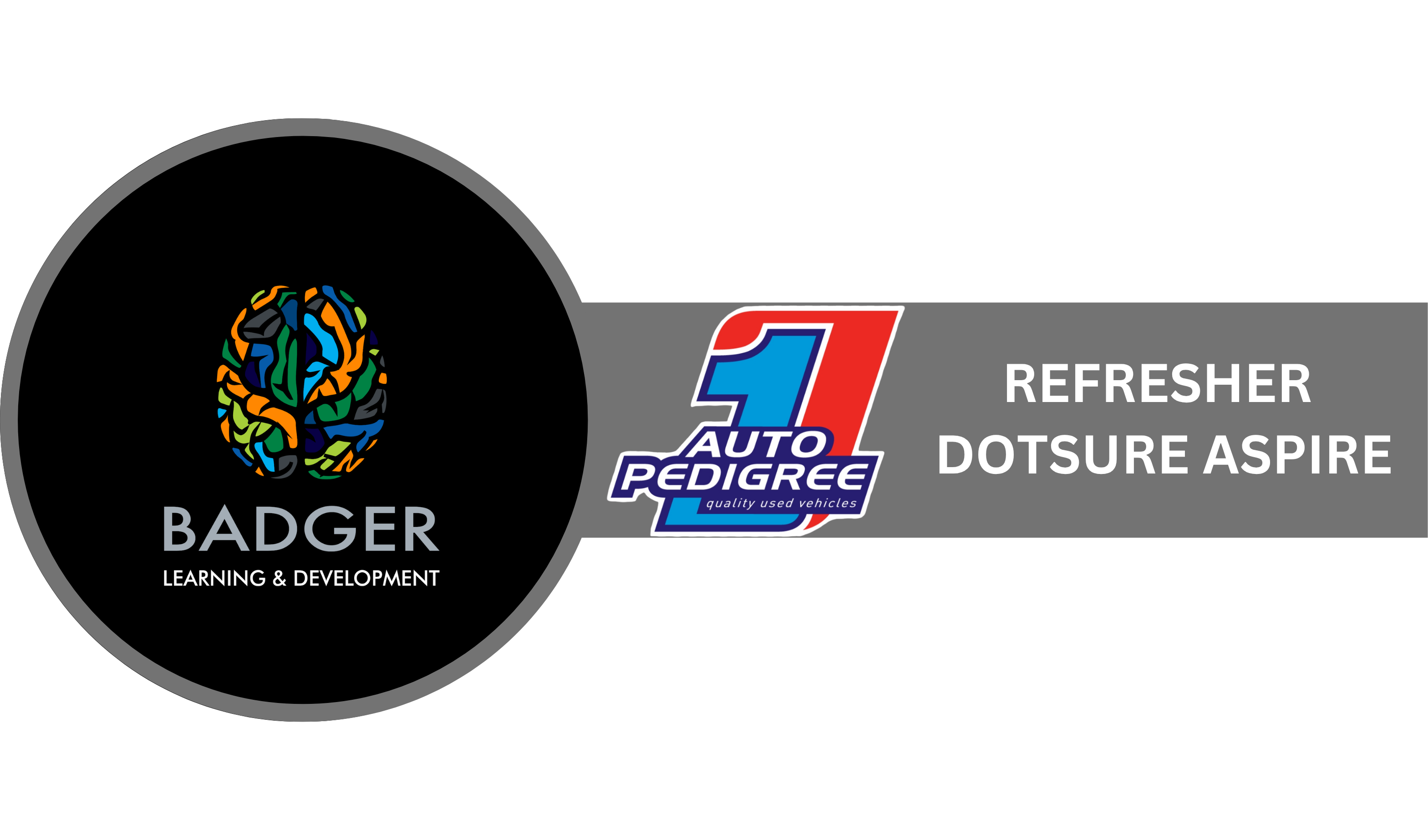 REFRESHER BROKERS - DOTSURE ASPIRE - June 2026