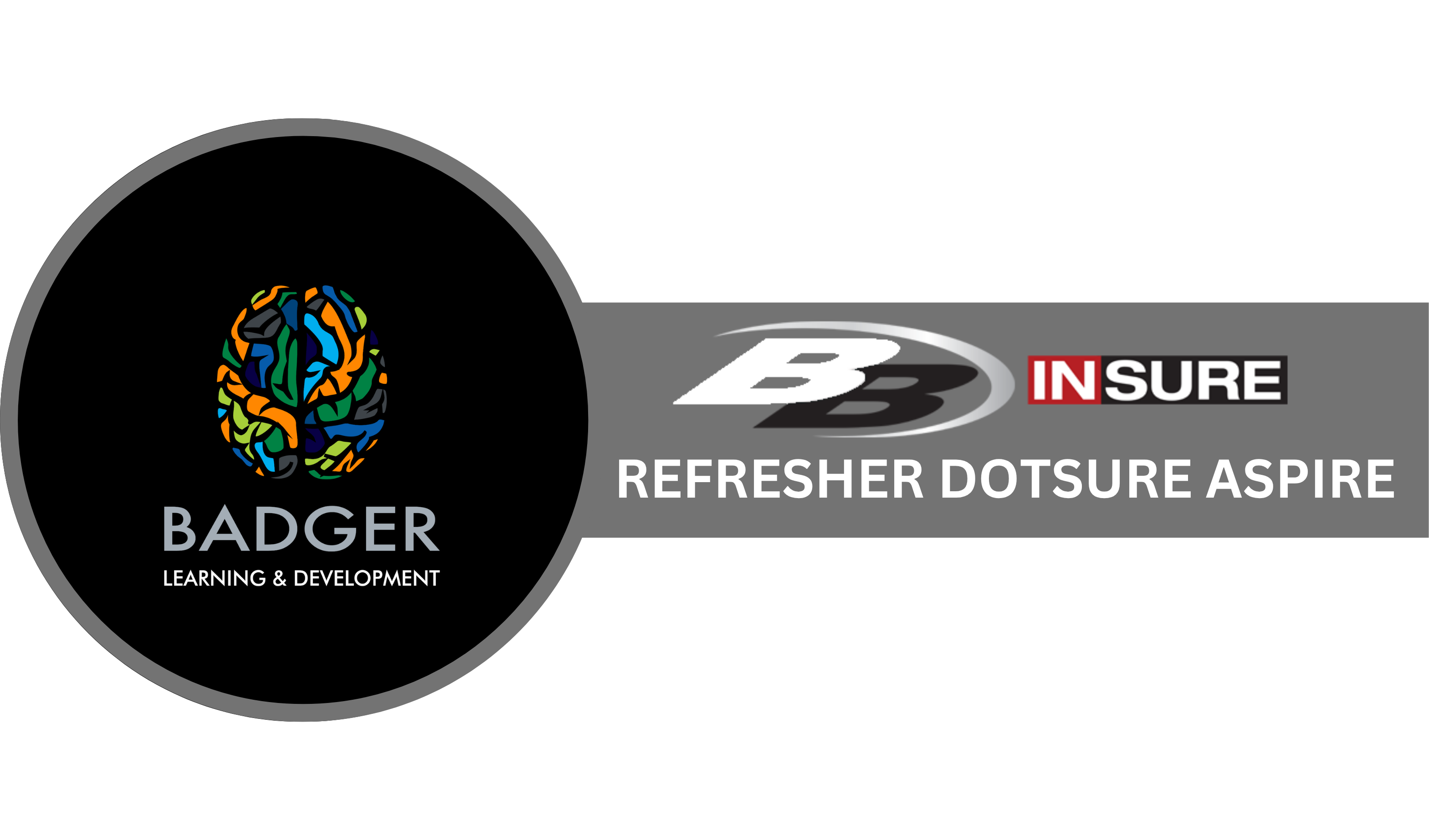REFRESHER BROKERS - DOTSURE ASPIRE - June 2026