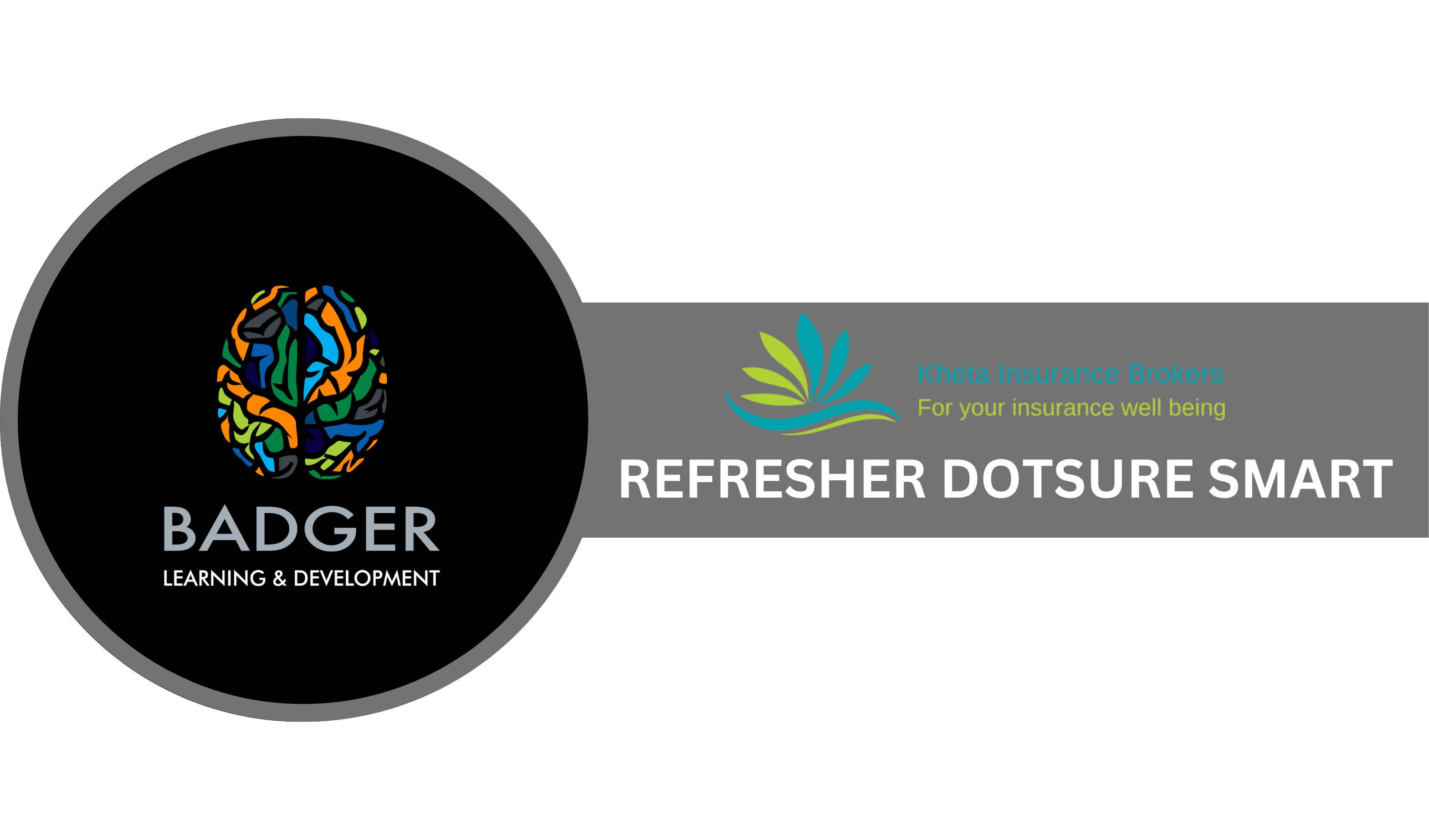 REFRESHER BROKERS - DOTSURE SMART - June 2026 