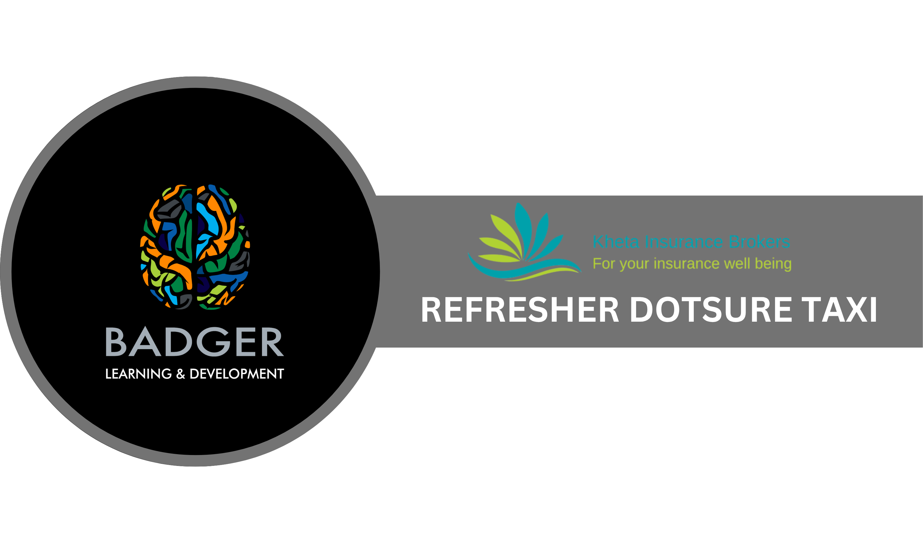 REFRESHER BROKERS - DOTSURE TAXI - June 2026