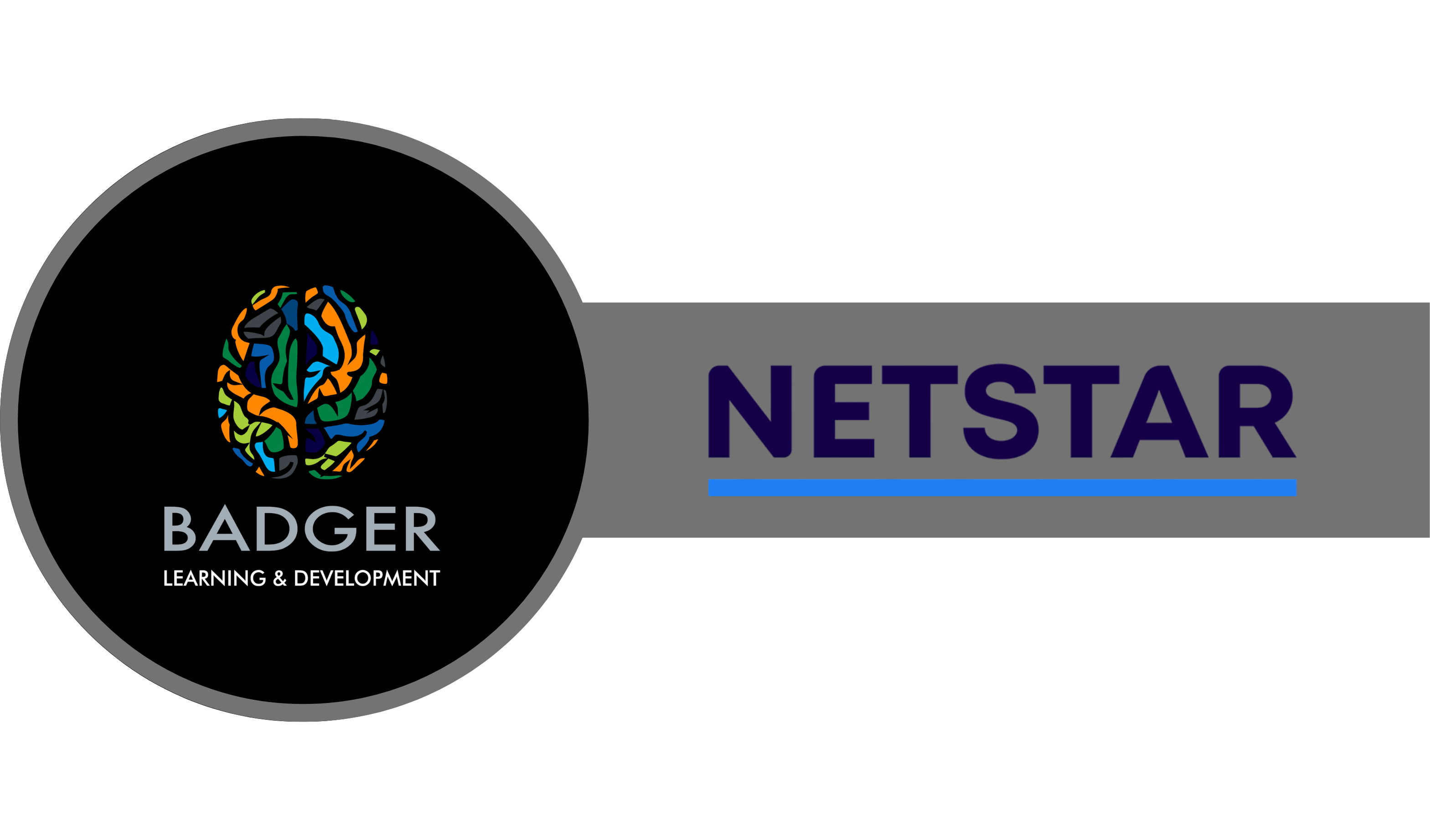 NETSTAR - AIB 