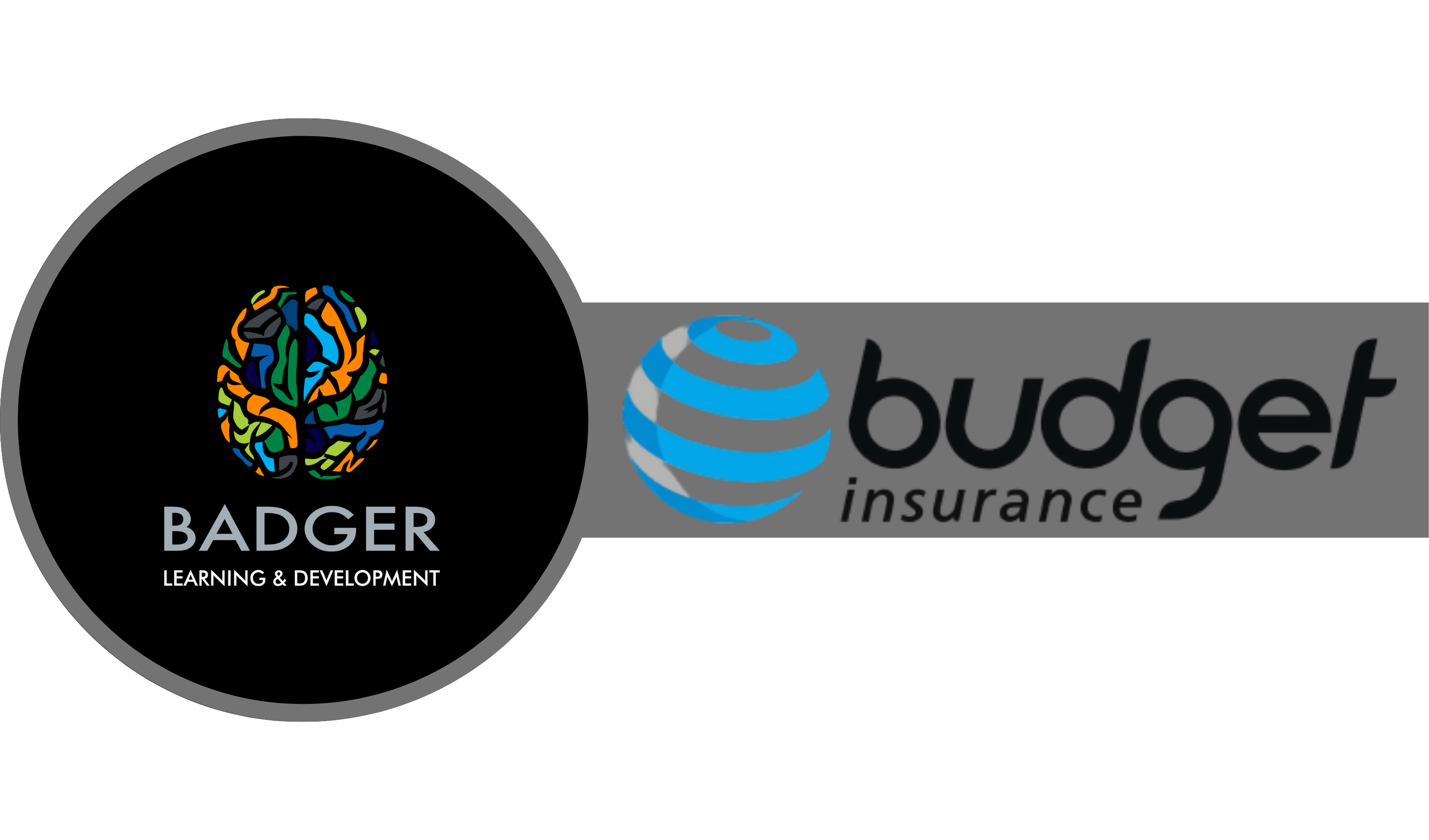 BUDGET - BUSINESS INSURANCE