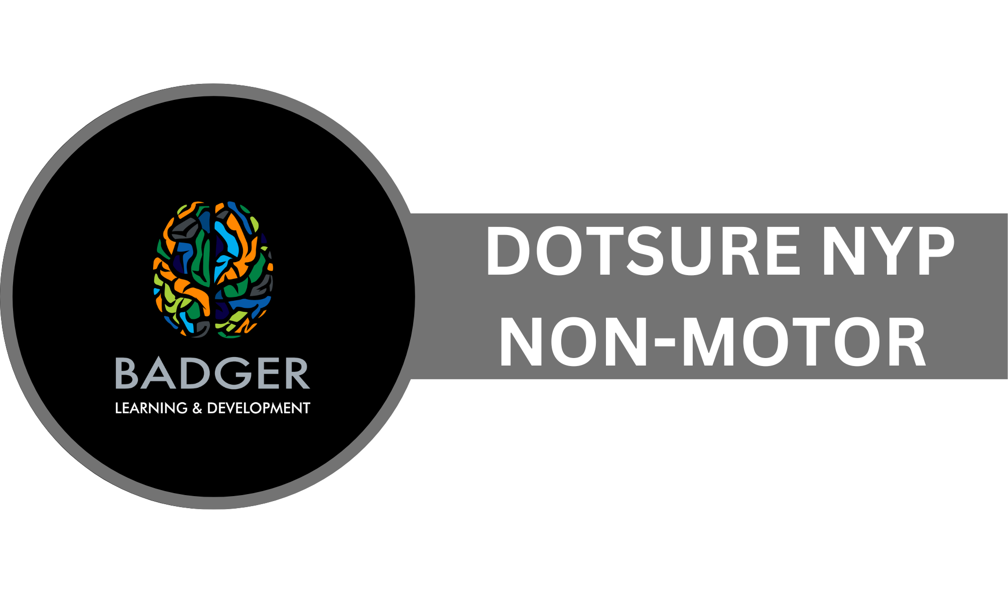 DIRECT MOTOR SALES - DOTSURE NYP NON MOTOR - REFRESHER - August 2026