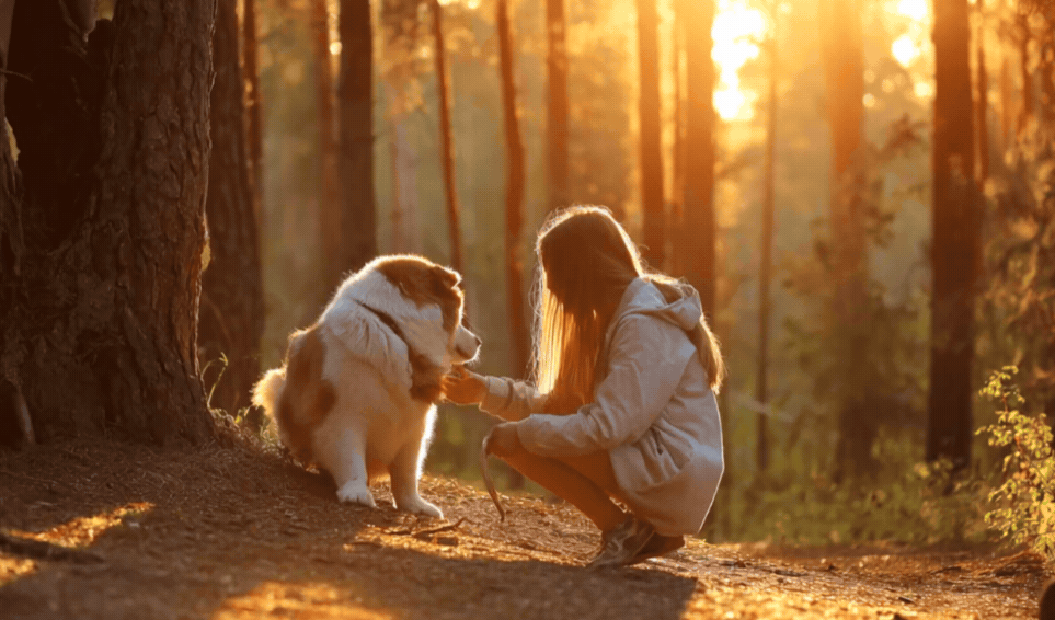 CHANGES - PET & EXOTIC PET PRICE & COVER LIMITS INCREASES - October 2026