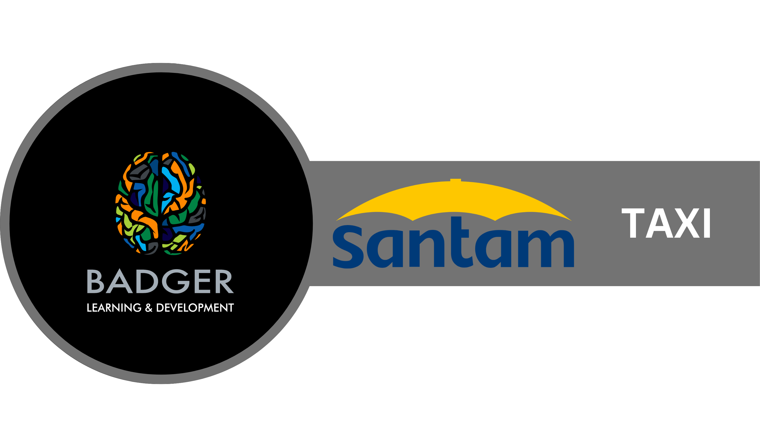 SANTAM TAXI