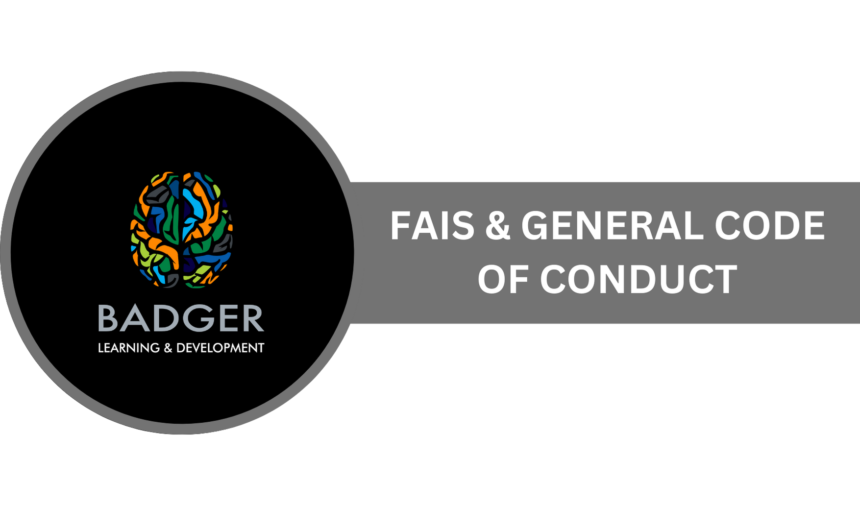 BADGER INDUCTION - COMPLIANCE - FAIS & General Code of Conduct