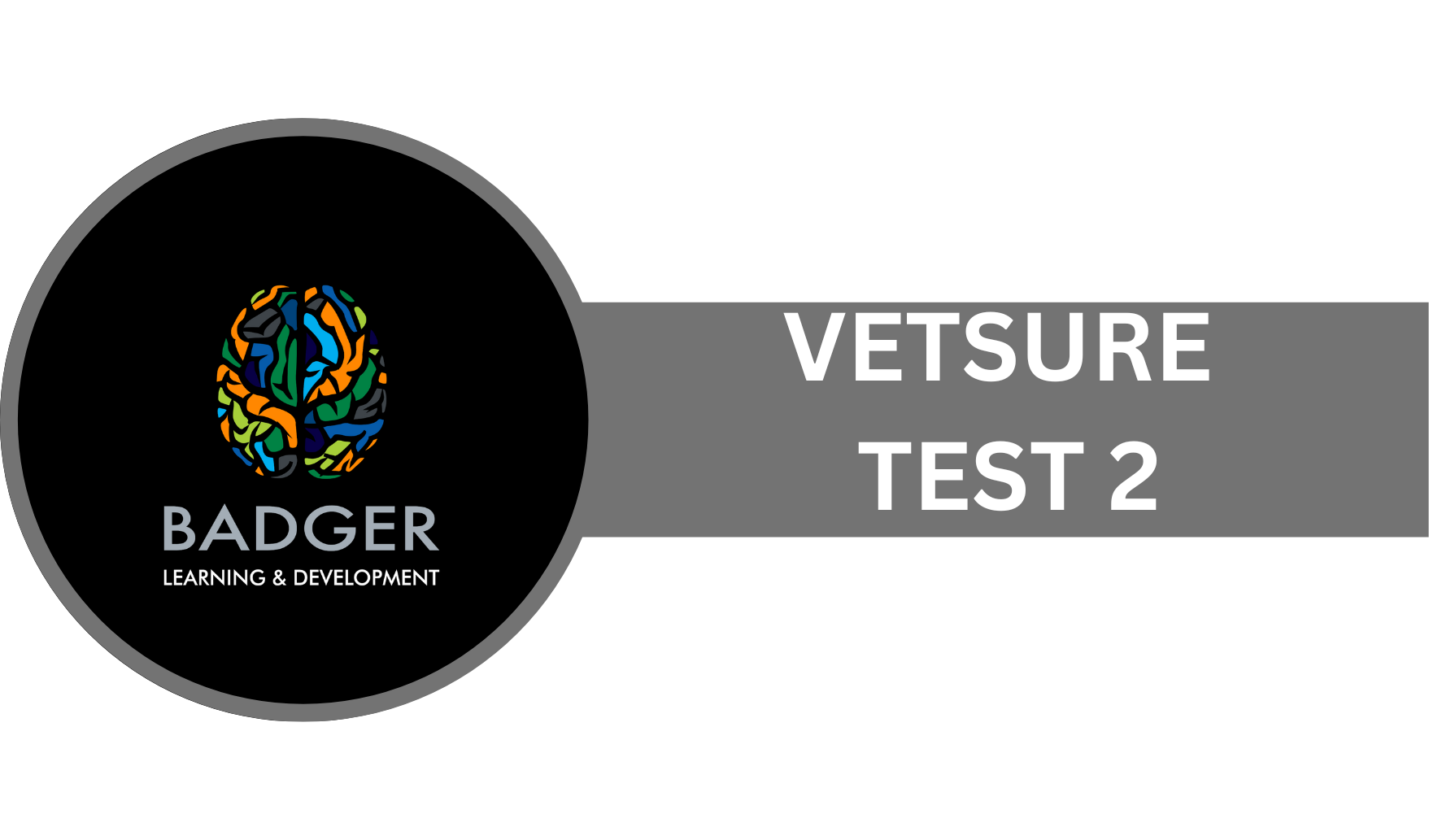 COMMERCIAL - VETSURE - TEST 2