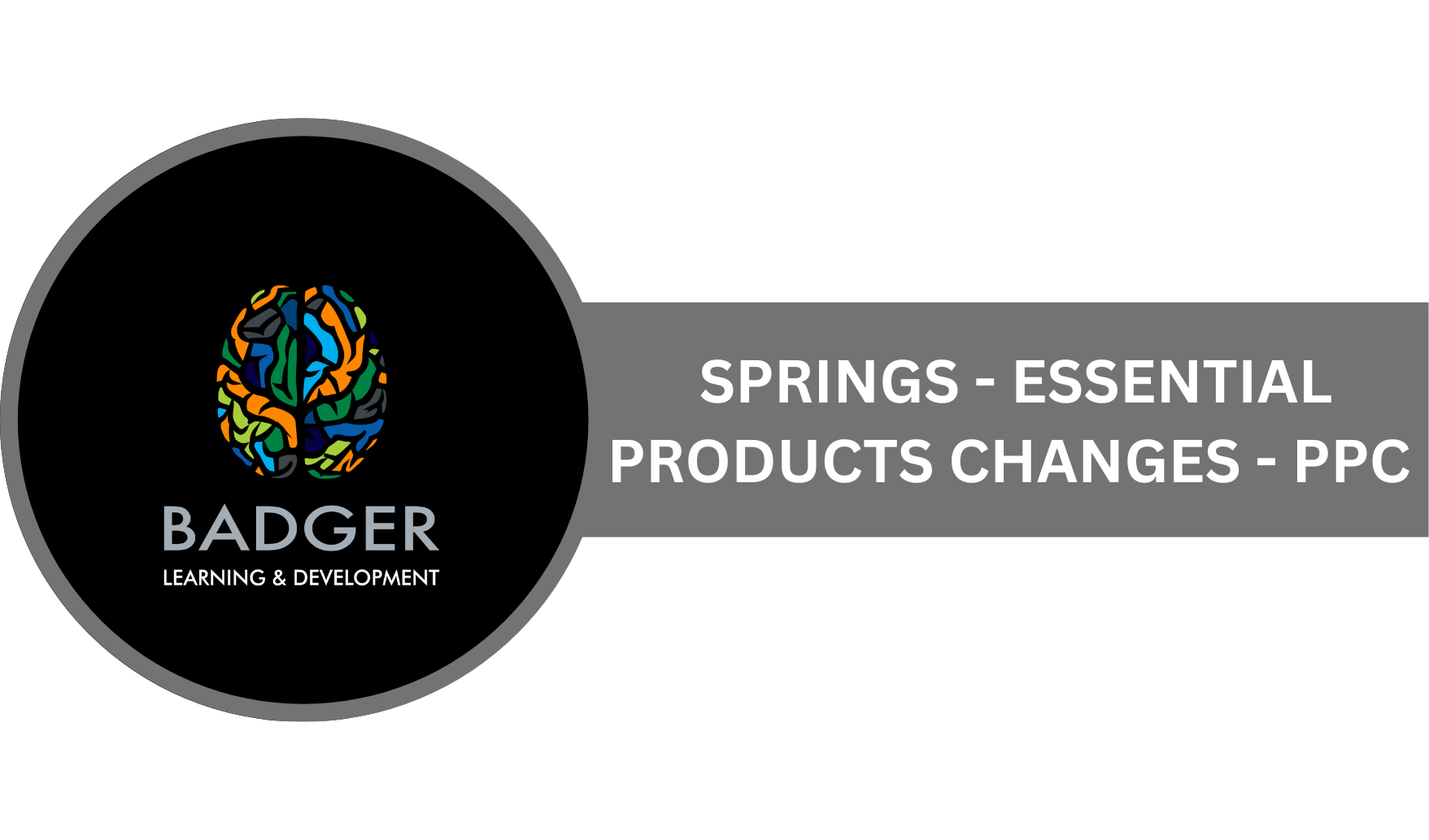 SPRINGS - ESSENTIAL PRODUCTS CHANGES - PPC - June 2024