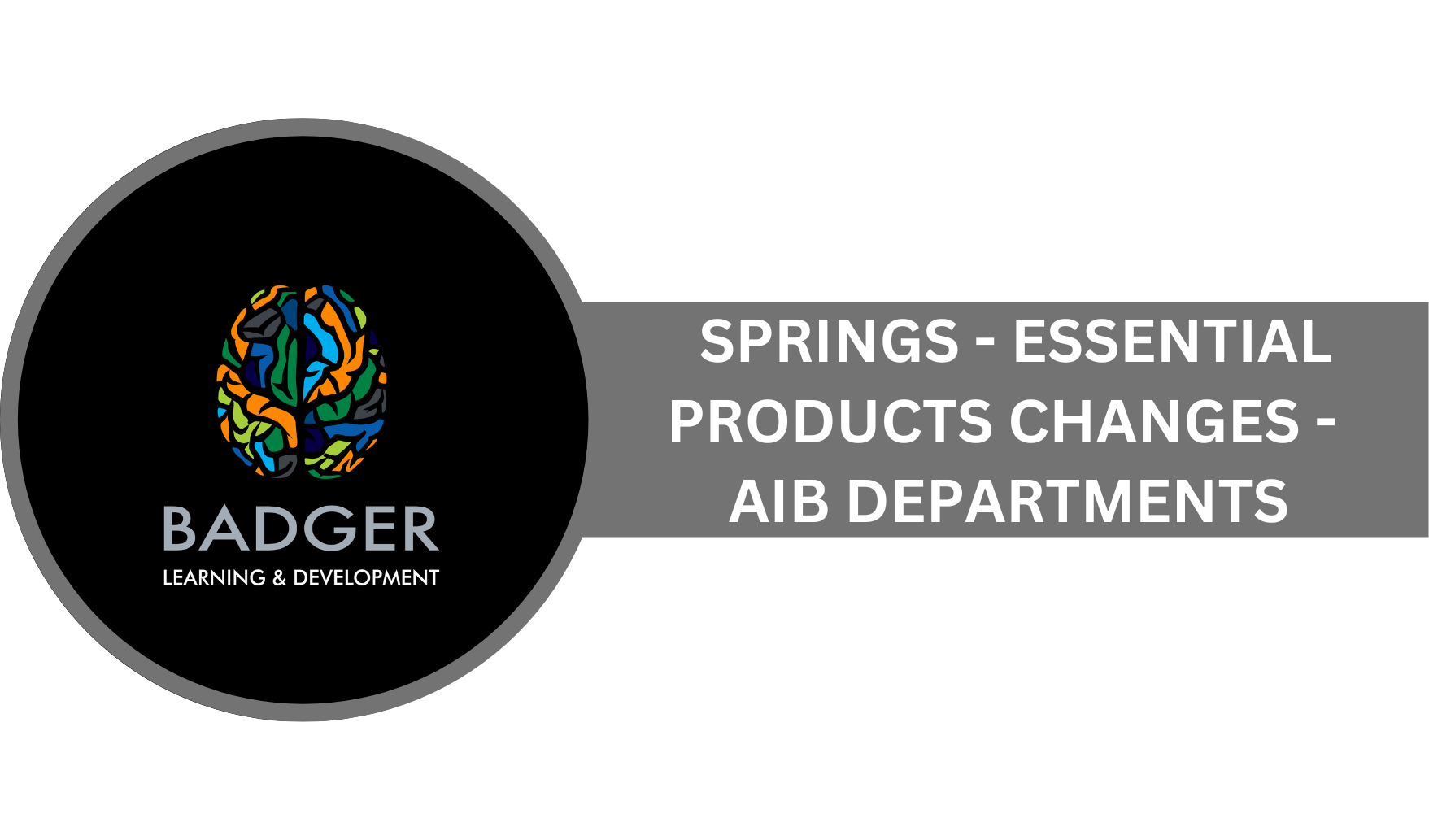 SPRINGS - ESSENTIAL PRODUCTS CHANGES - AIB DEPARTMENTS - June 2024