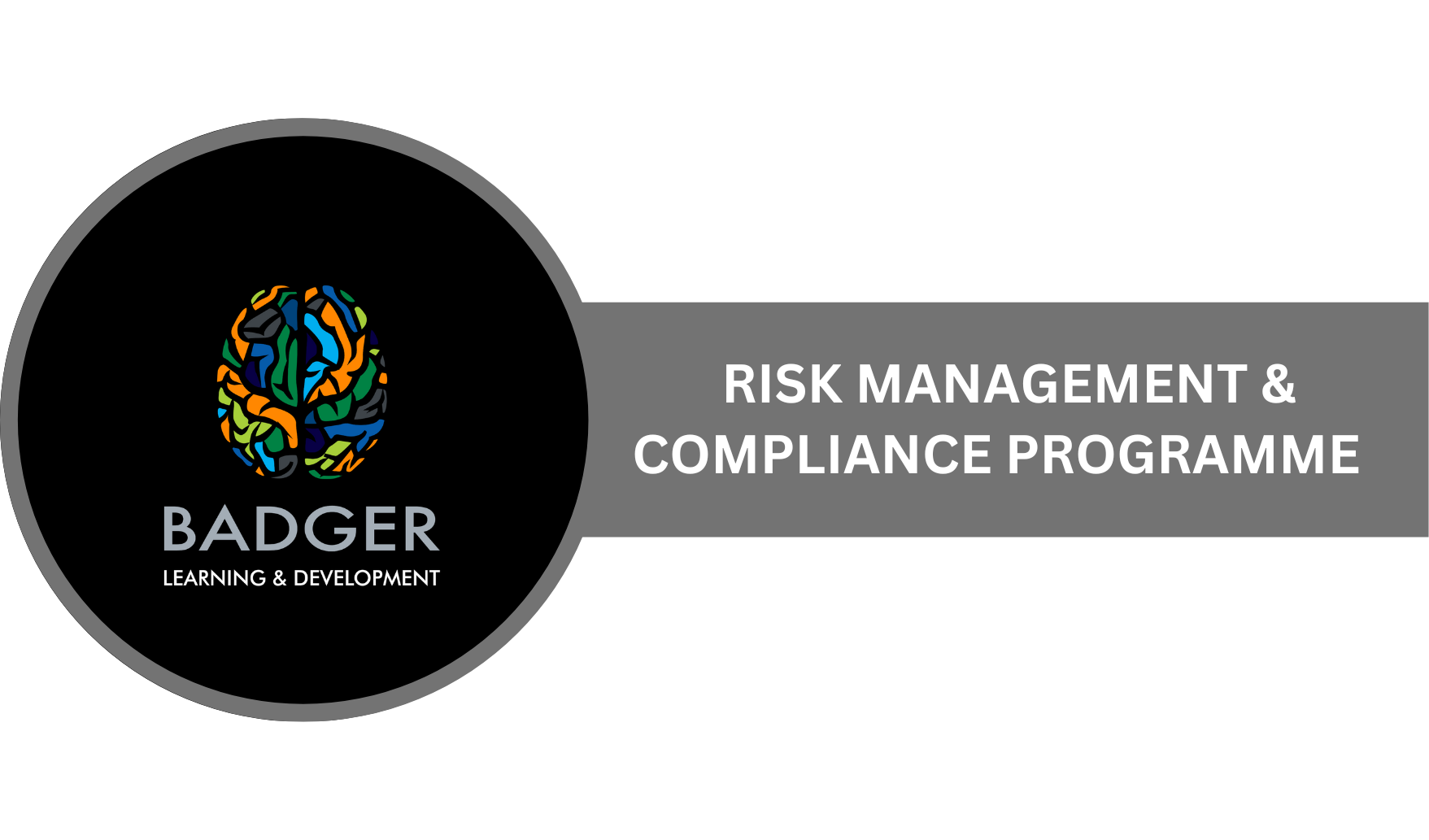 COMPLIANCE - Risk Management and Compliance Programme 