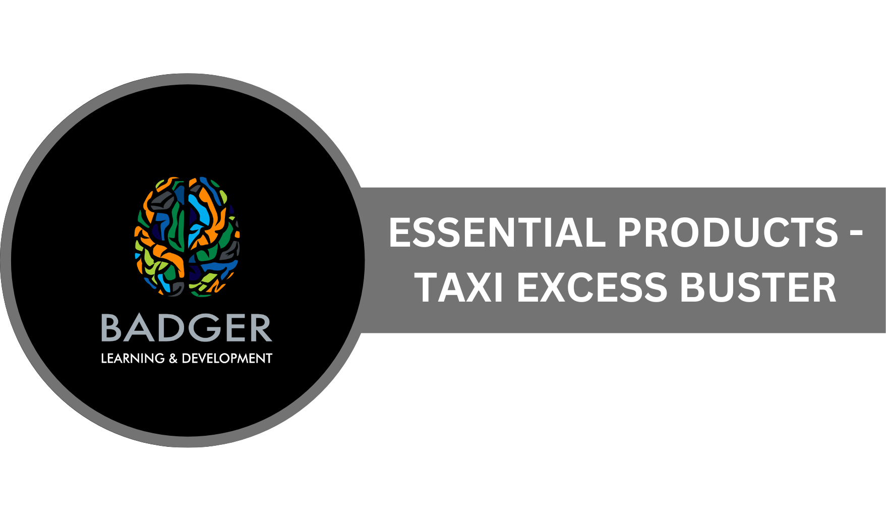 EP - TAXI EXCESS BUSTER